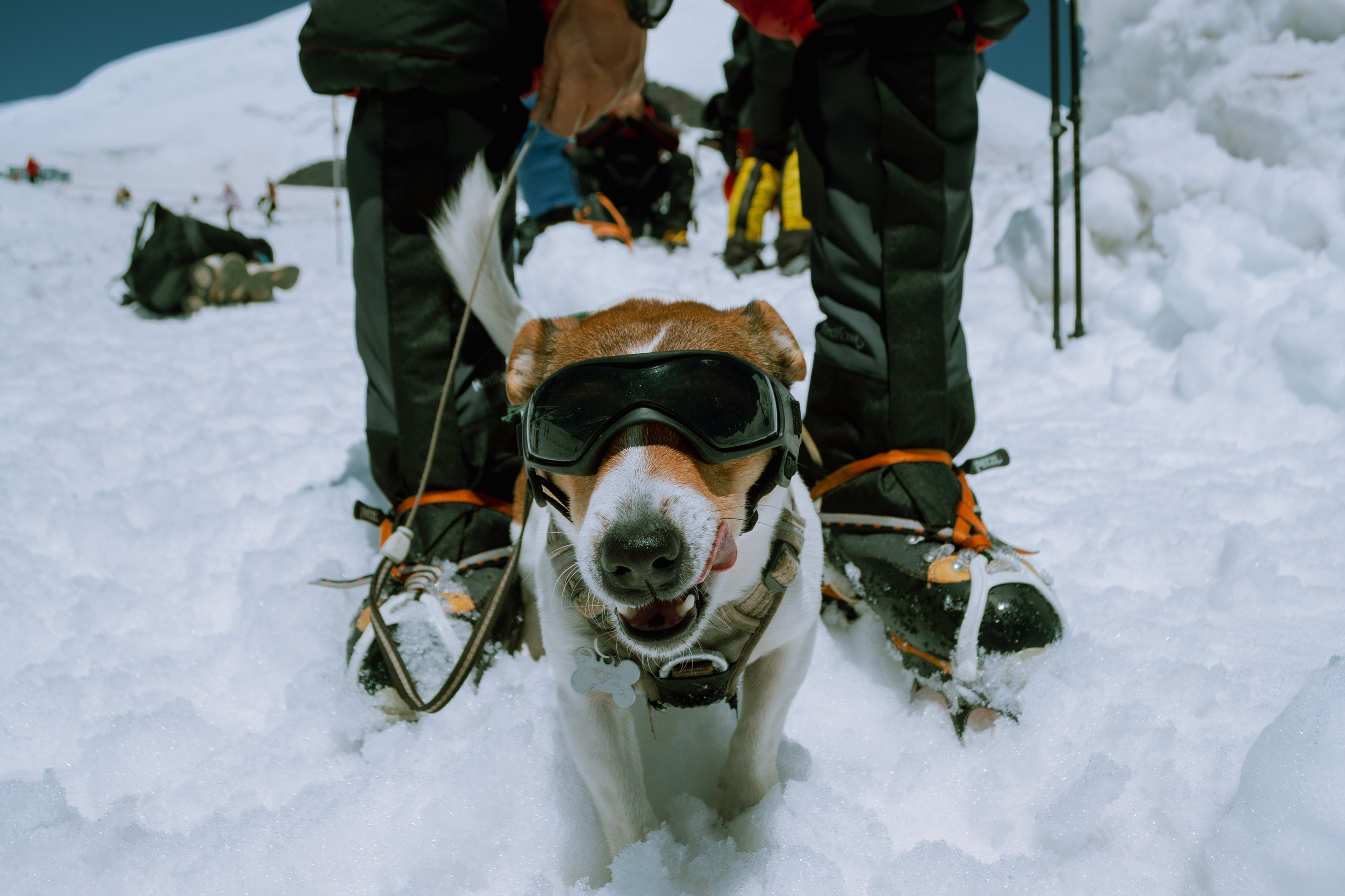 Ледовые занятия. Фотограф Настя | Экспедиции и лайфстайл
