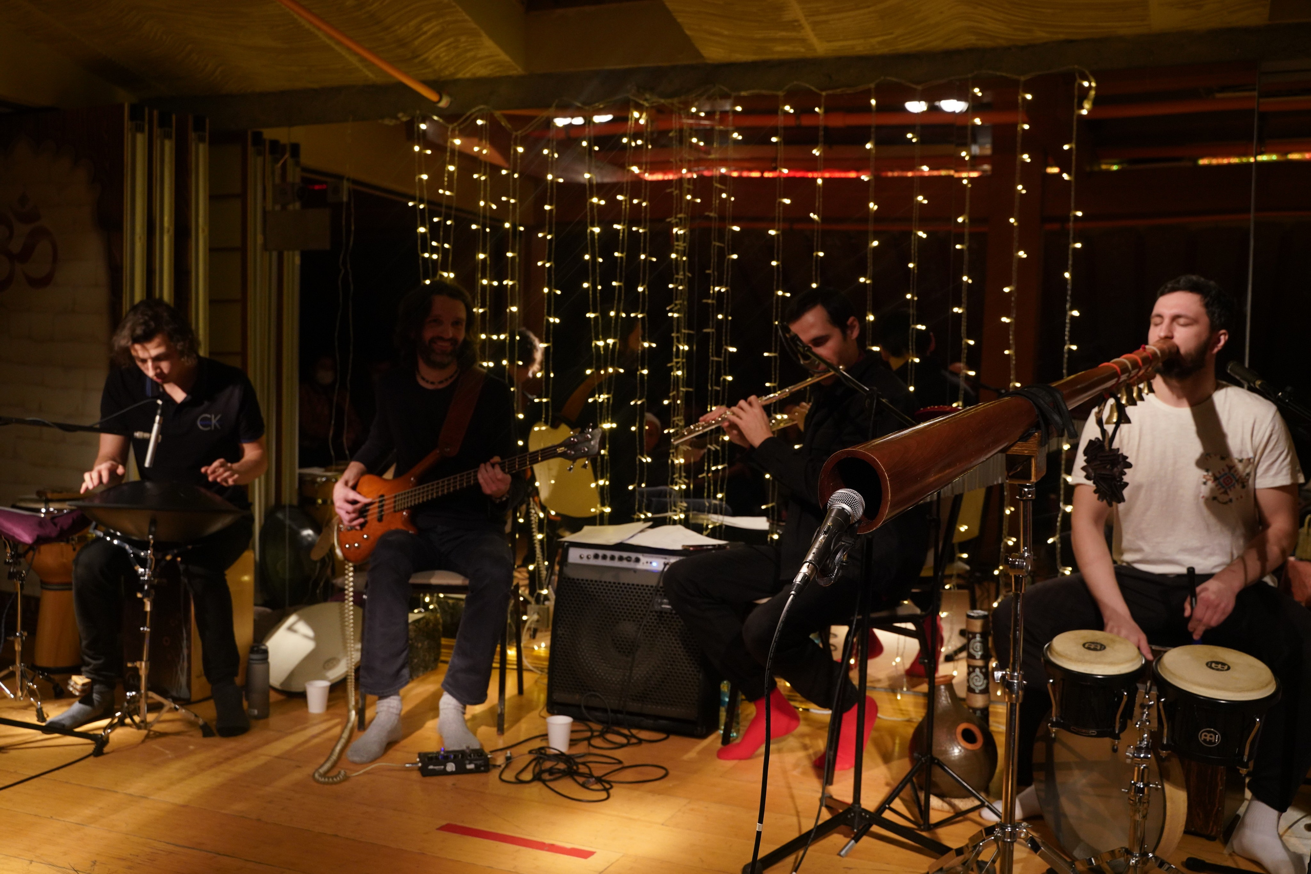 Концерт Forest jam project. Портретный и репортажный фотограф Наталья Горобец