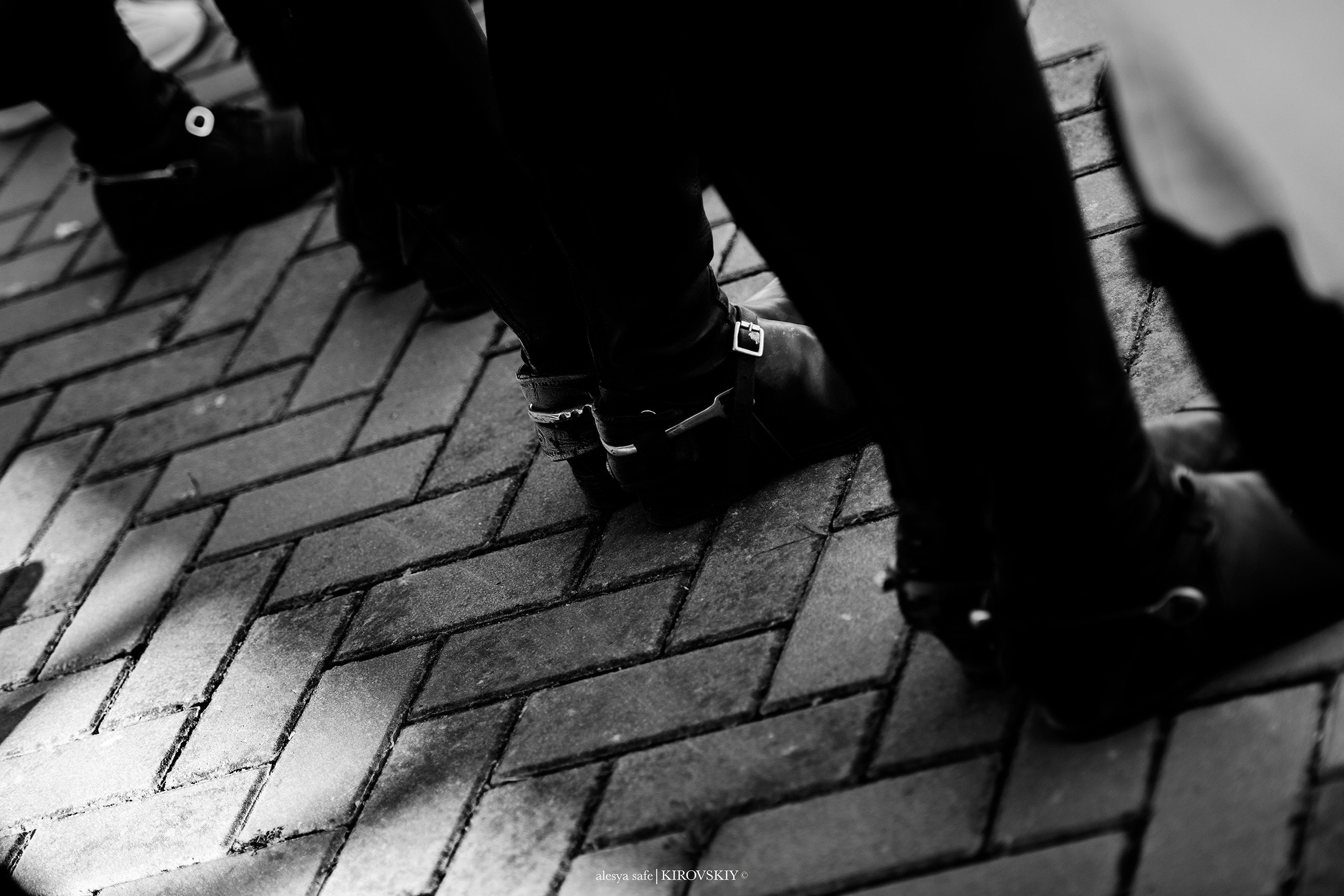 Кировский конный завод. Конный фотограф Alesya Safe