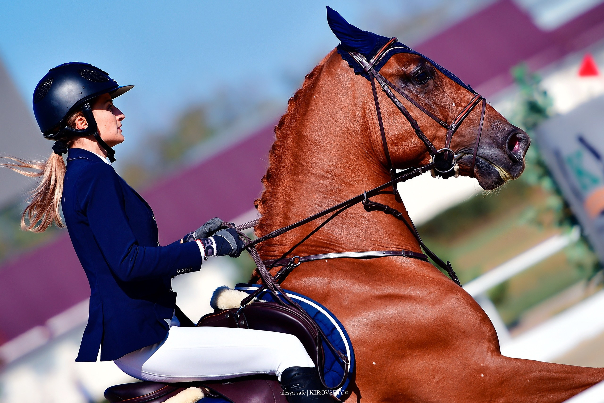 Кировский конный завод. Конный фотограф Alesya Safe