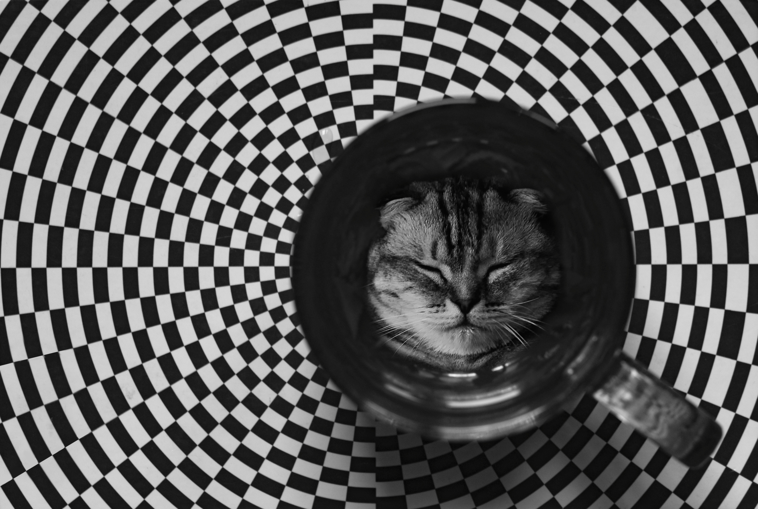 картина, фотокартина, картина в Гомеле, painting, canvas