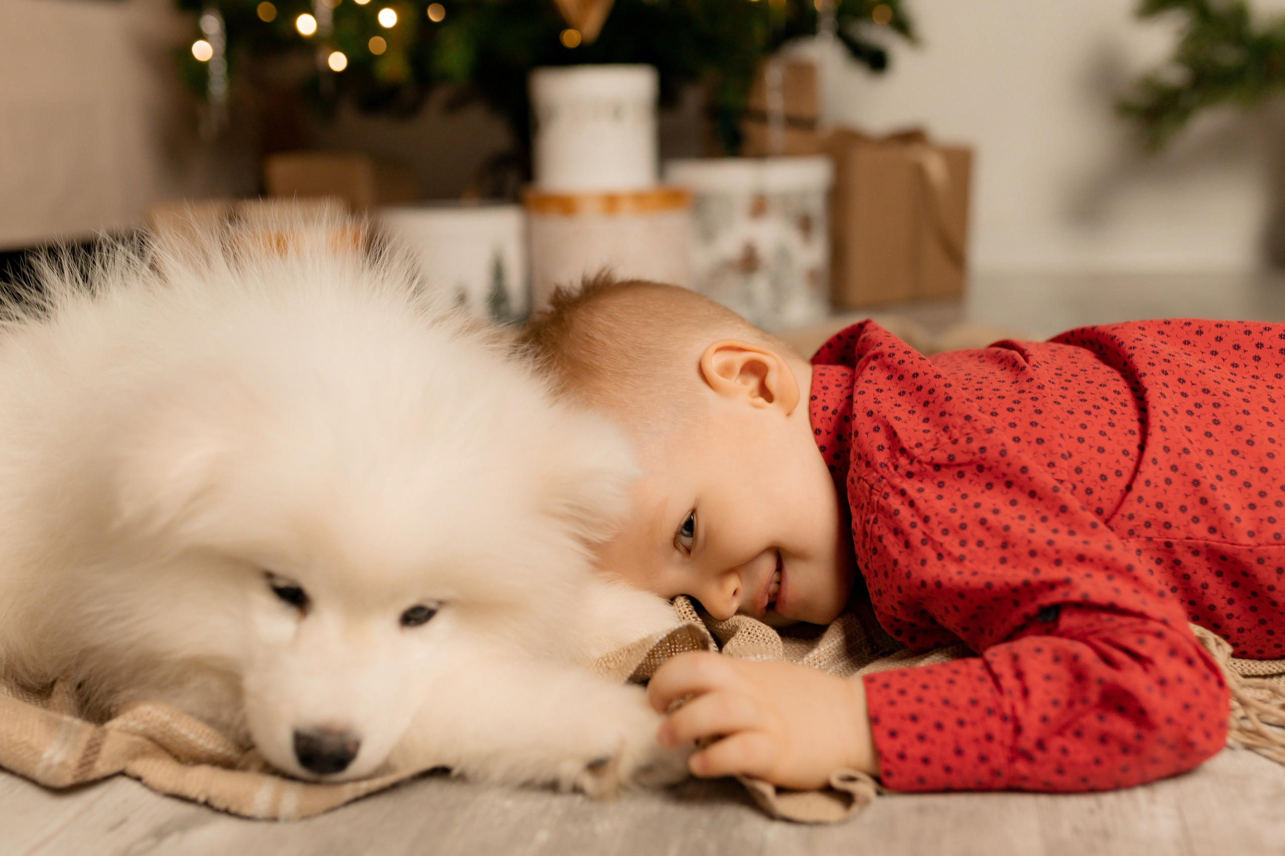 Новогодние съёмки. Интерьерная фотостудия в г. Барнаул