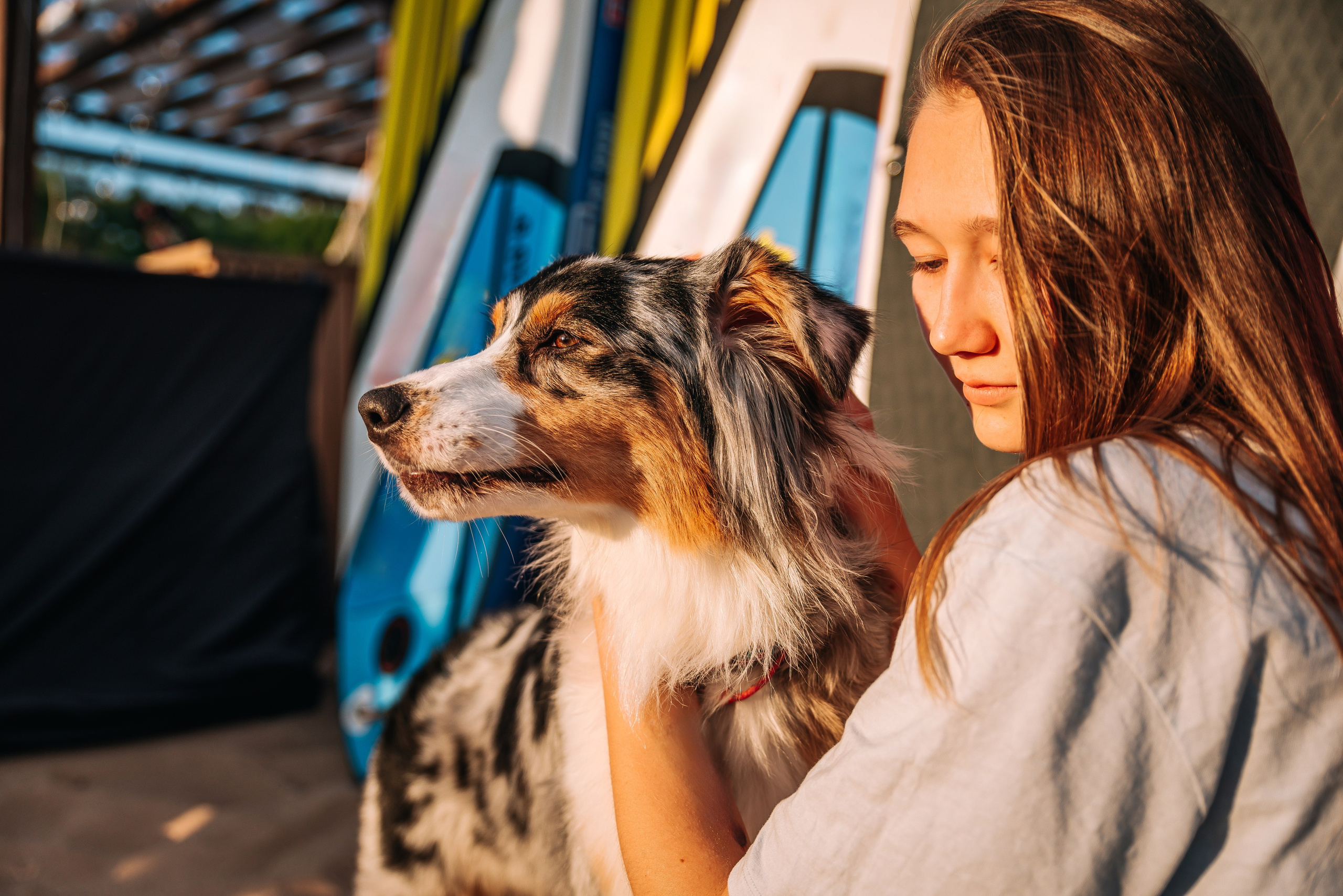 No Bad Days. Главная