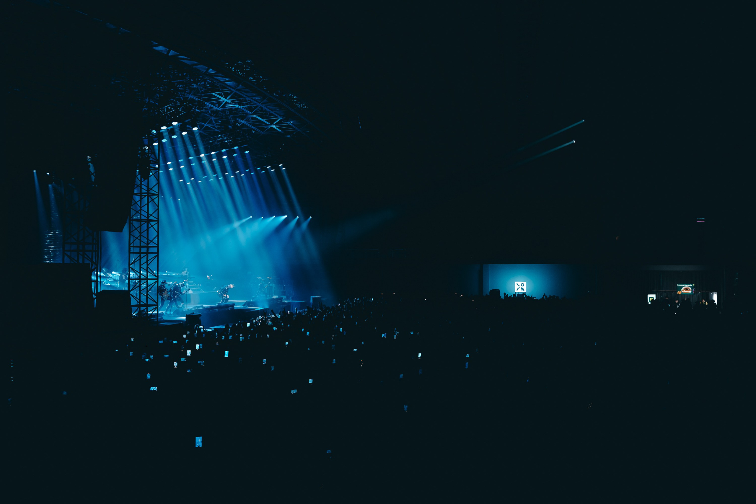 Till Lindemann. Магия музыки в кадре: Концертная Фотография