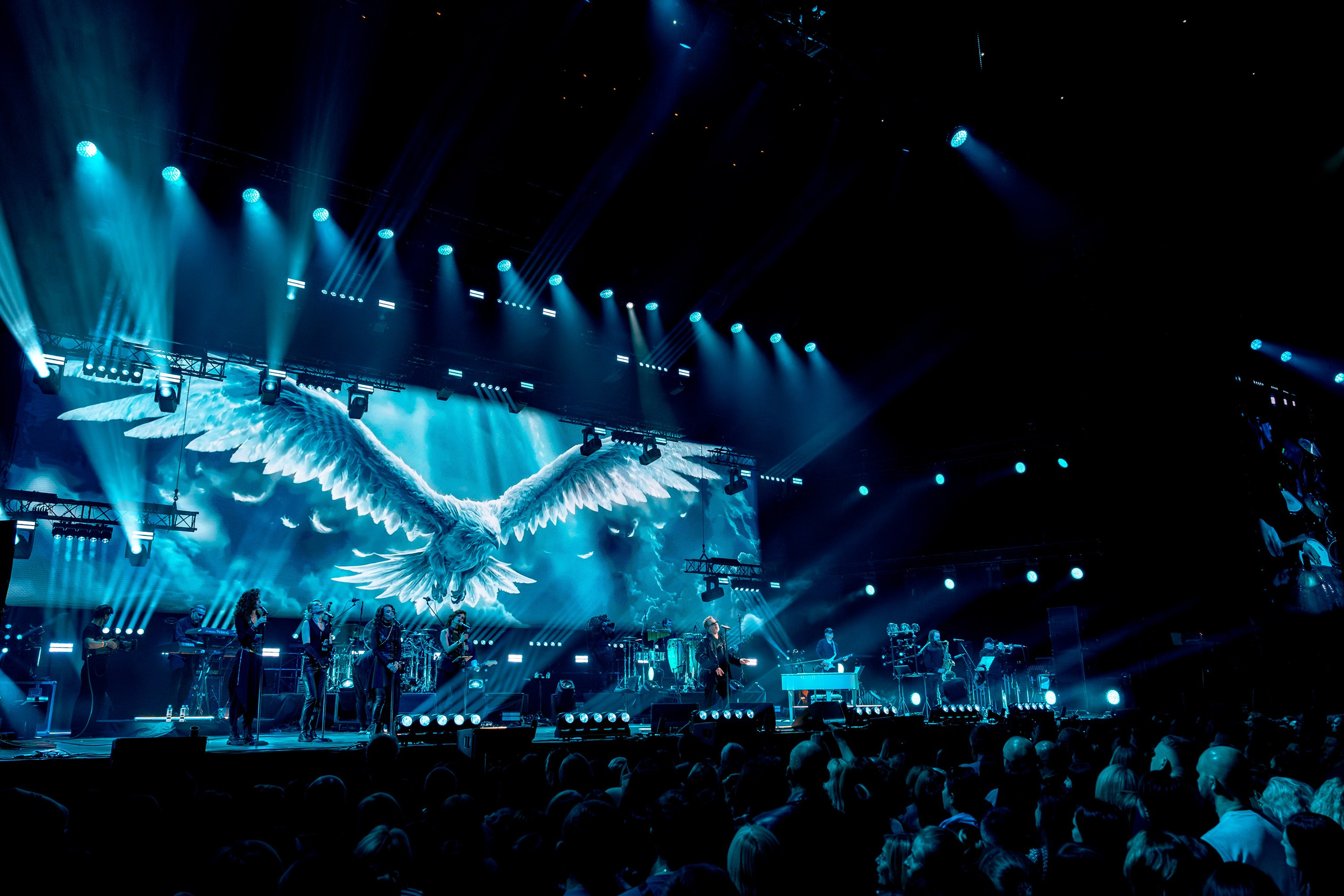 Владимир Пресняков. Магия музыки в кадре: Концертная Фотография