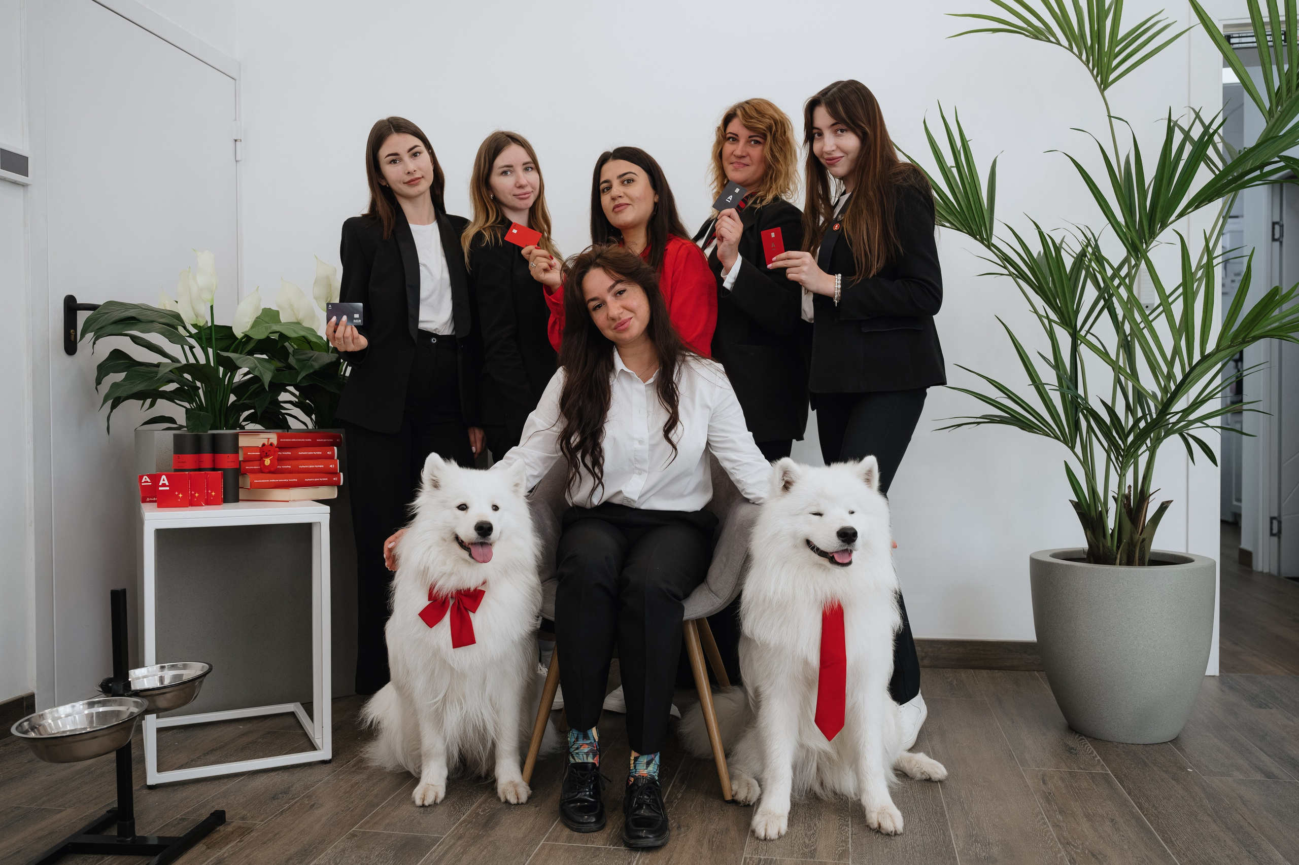 Альфа банк Карла Маркса 55. Фотограф Кристина Тумаева. Самоед Новосибирск