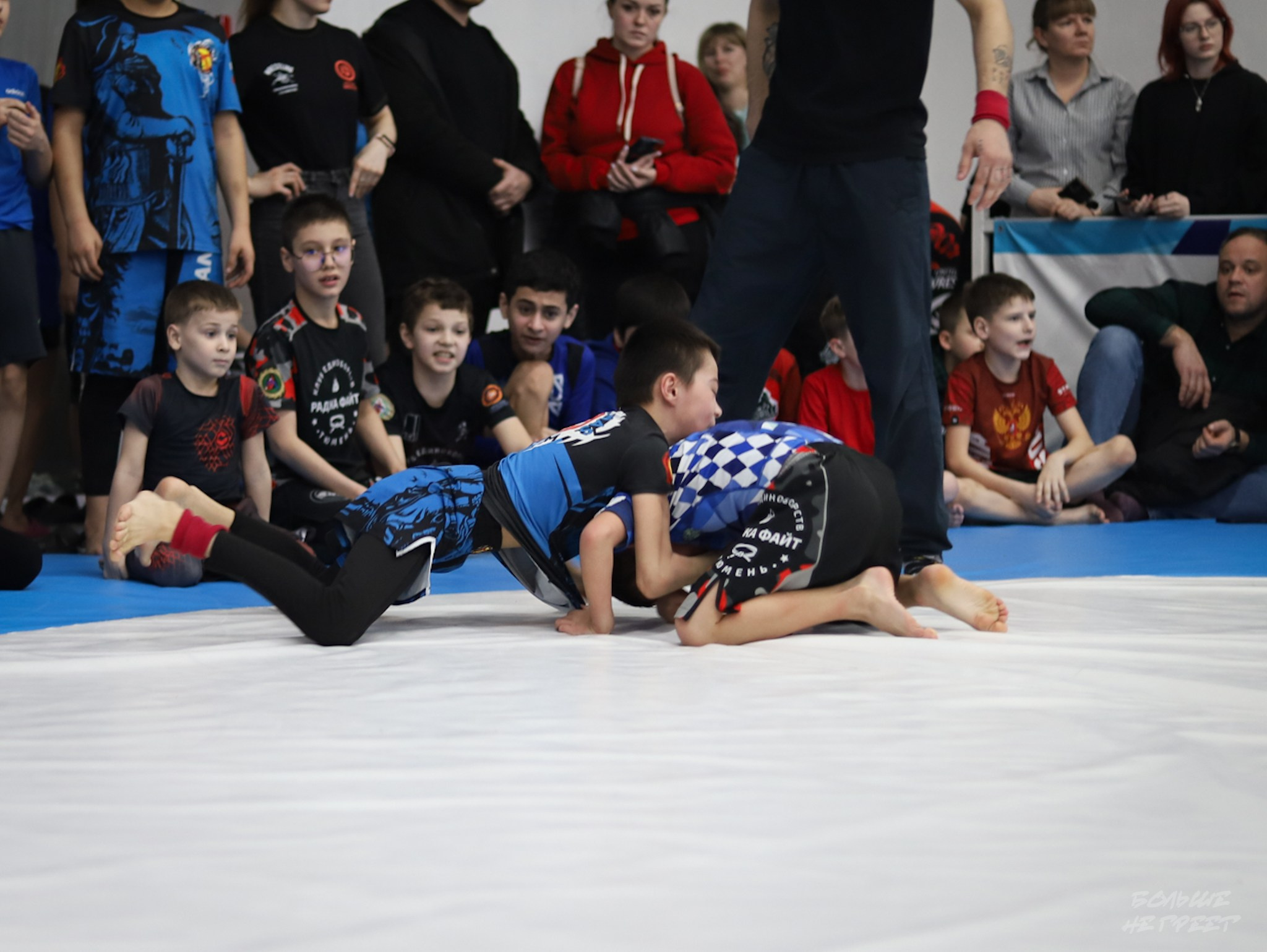 GORILLA PRIDE CUP. Больше не греет