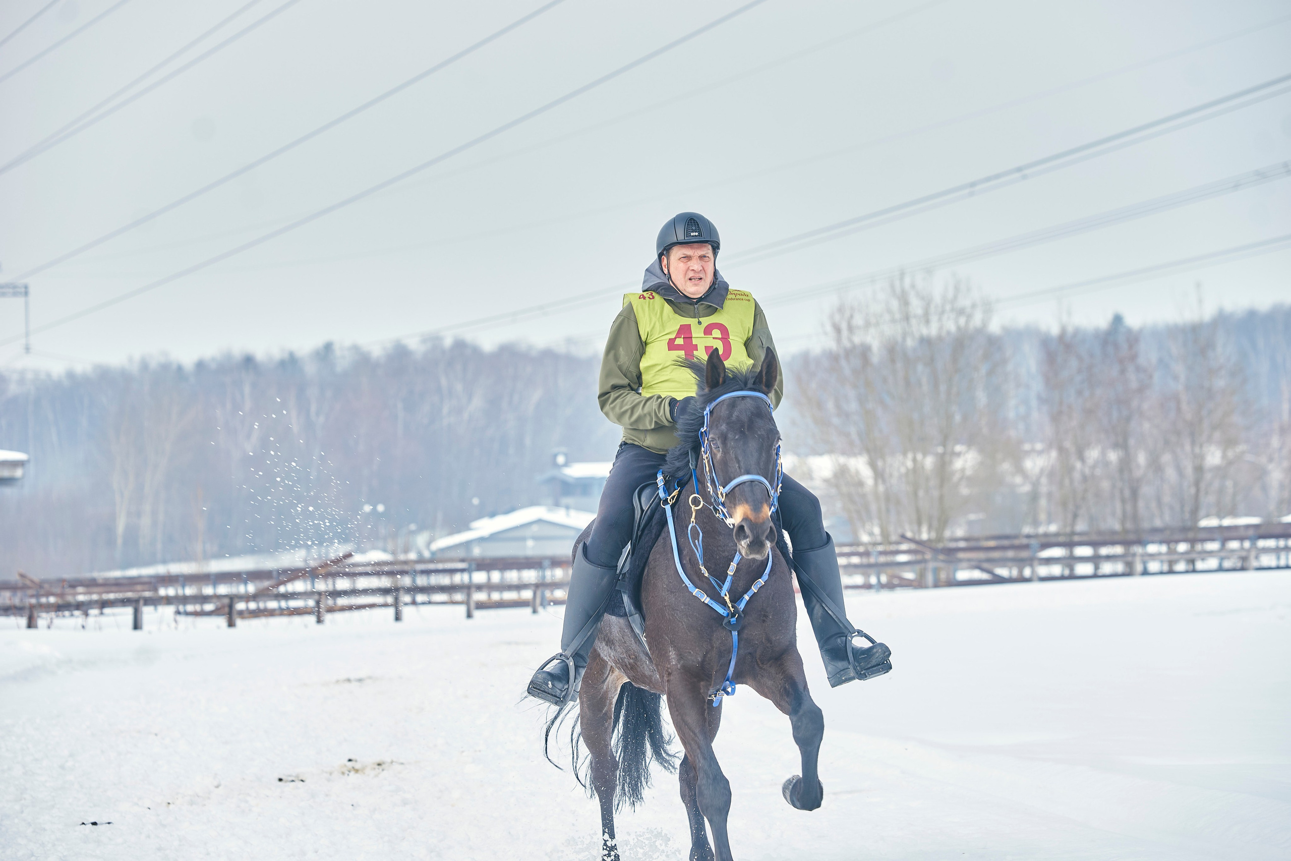 HORSE RACING. Фотограф Наталья Леонова