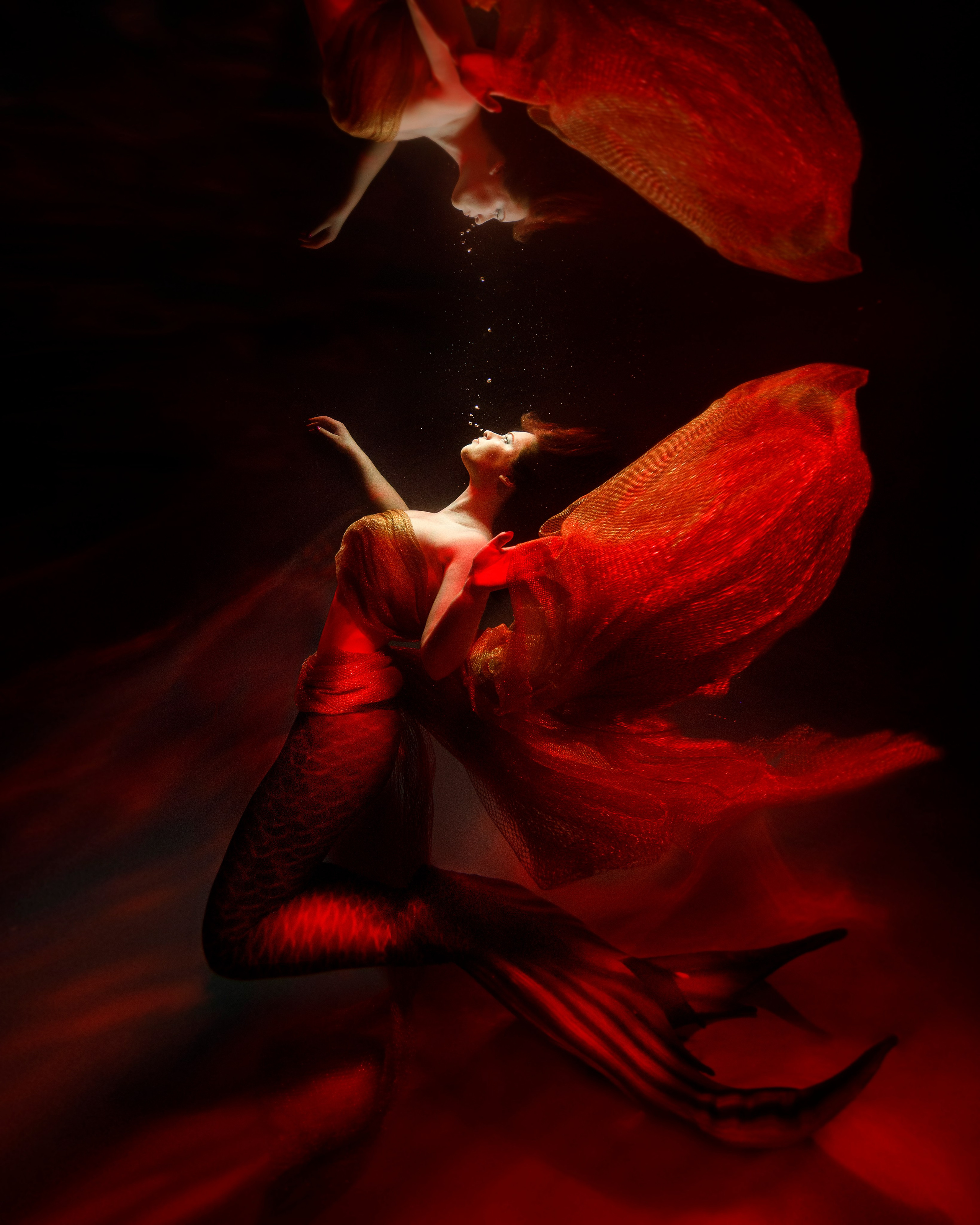 Аква общая. Марковкина КрисТина