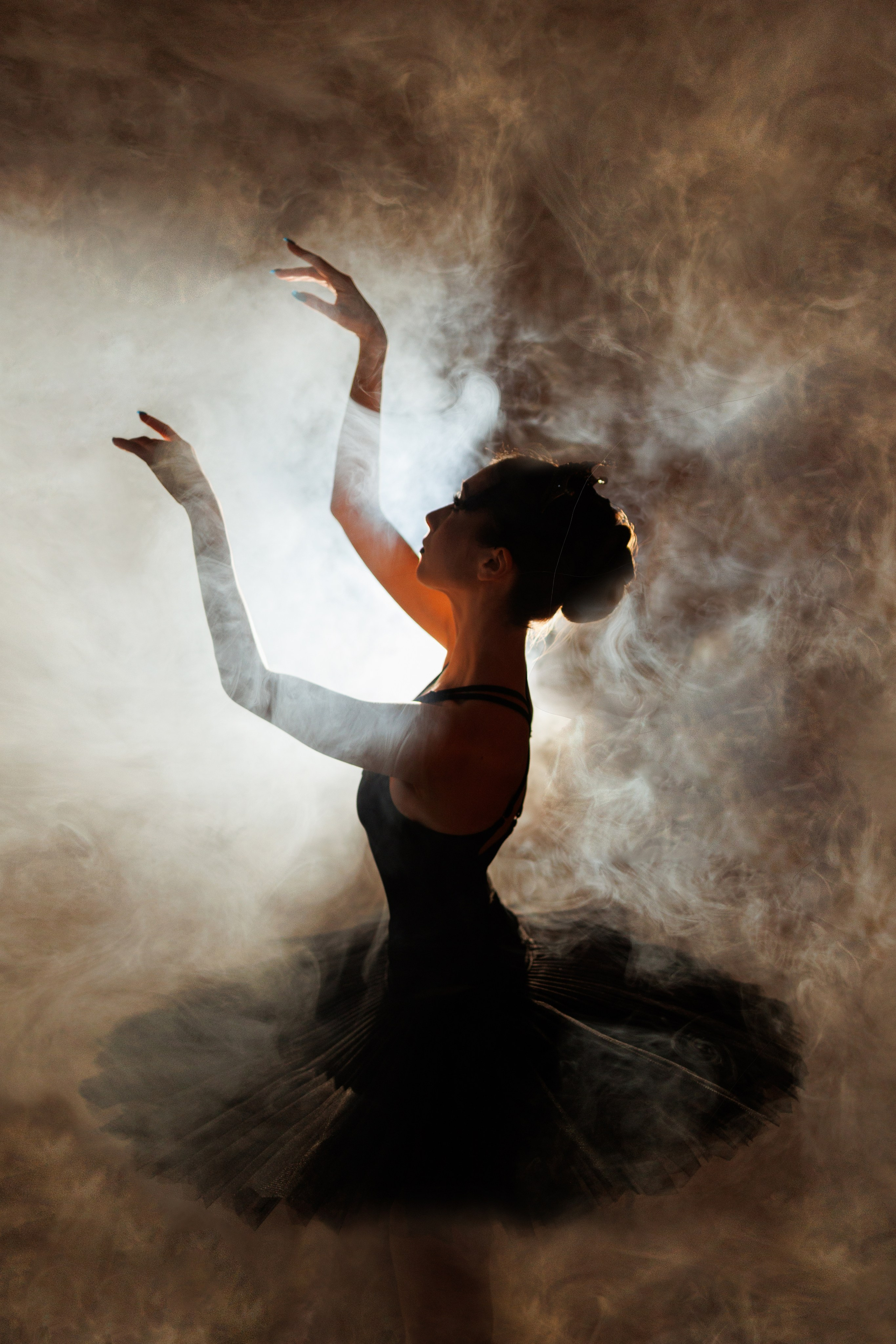 Черный лебедь. Марковкина КрисТина