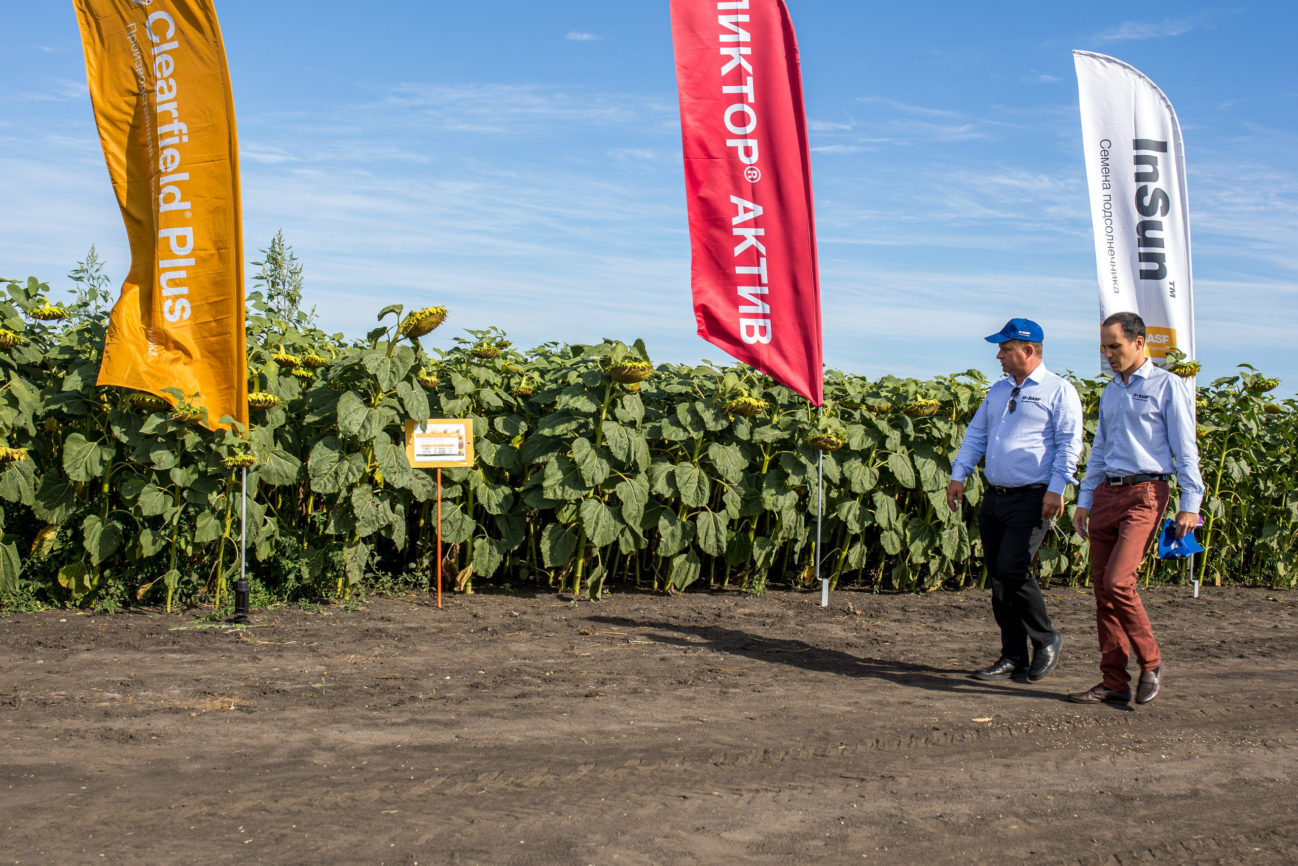 Решения для сельского хозяйства BASF 16.08.2022. Владислав Волков | Фотография и видеосъемка в Воронеже