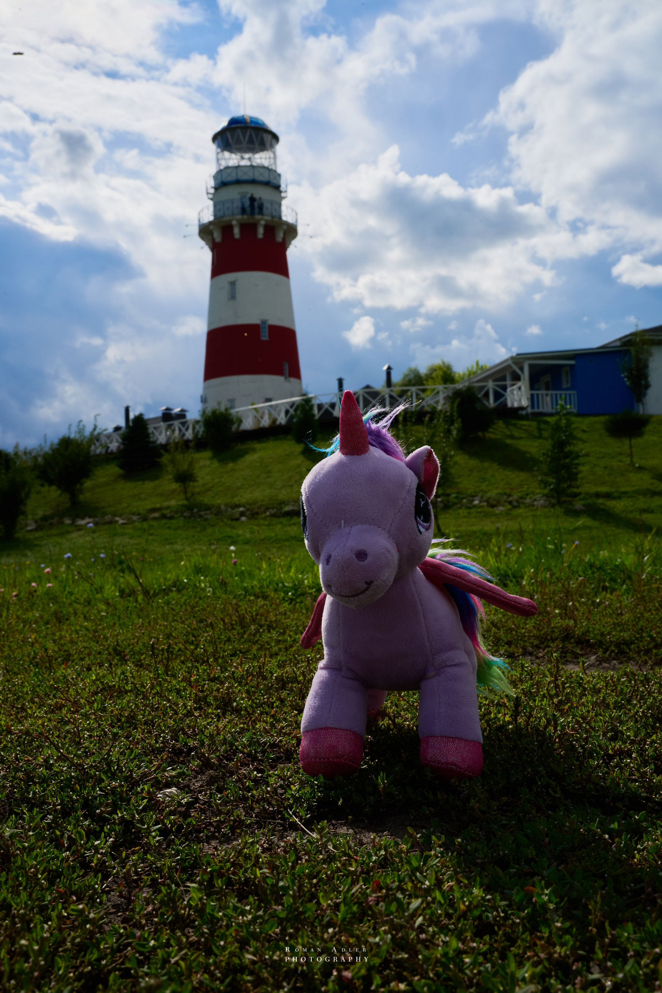 Рязань. Август 2025. Фотограф Роман Адлер