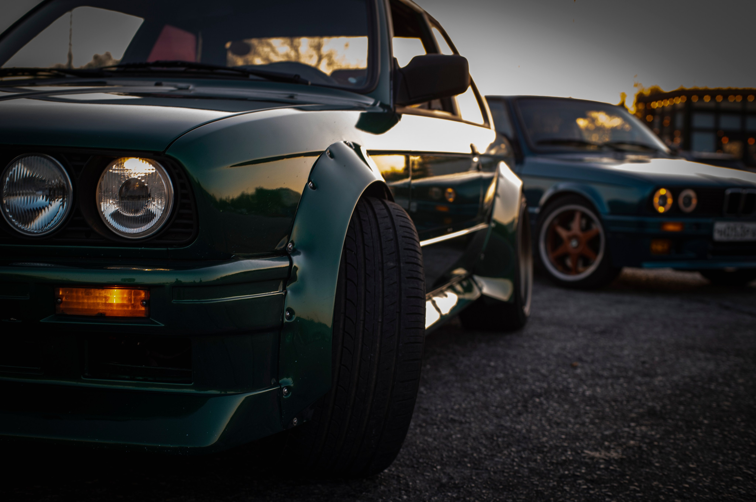 БМВ & Доберман. Фотограф Роман Адлер