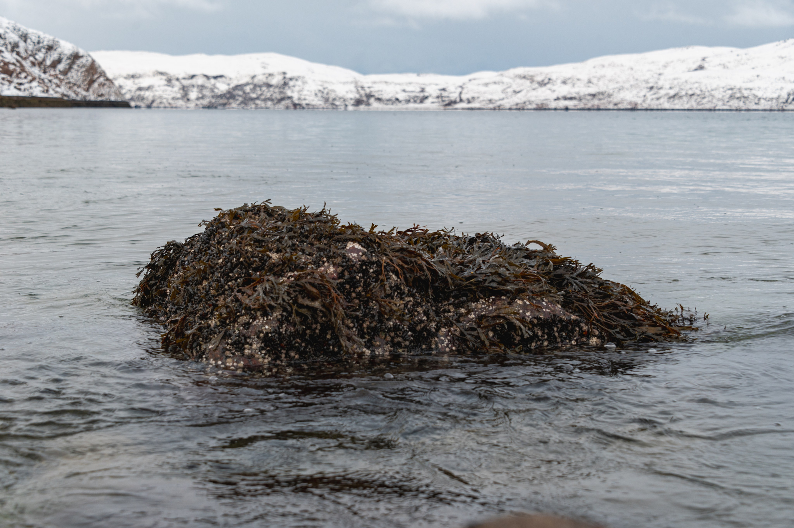 Териберка. Ноябрь 2023. Фотограф Роман Адлер