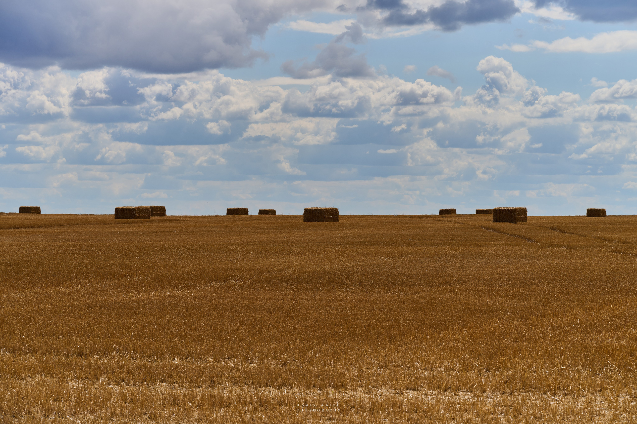 Воронеж. Август 2024. Фотограф Роман Адлер