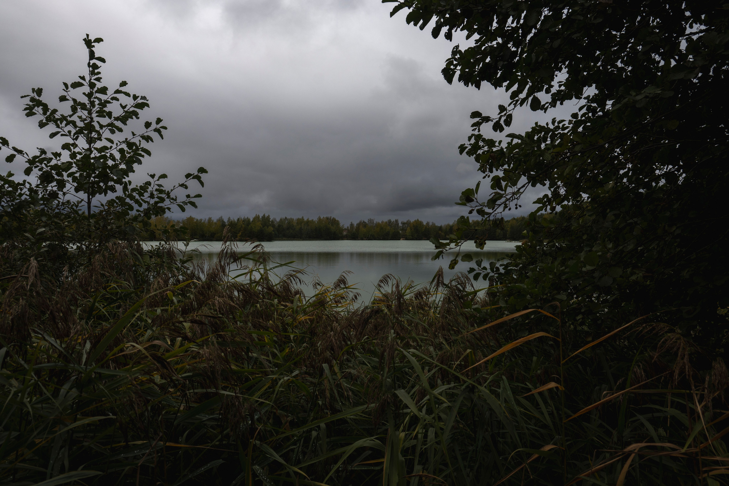 Фотопрогулка ДР. Фотограф Роман Адлер