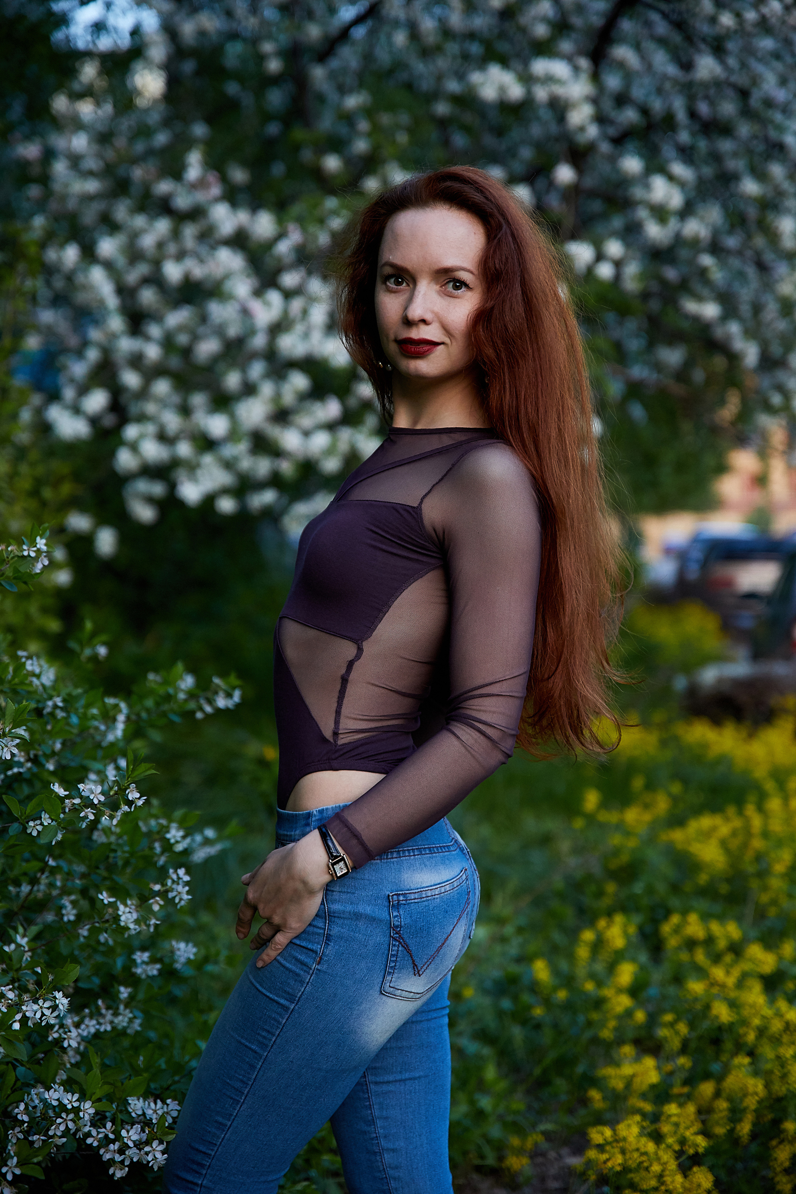 Ириша (цветение). Татьяна Бабаева — Фотограф