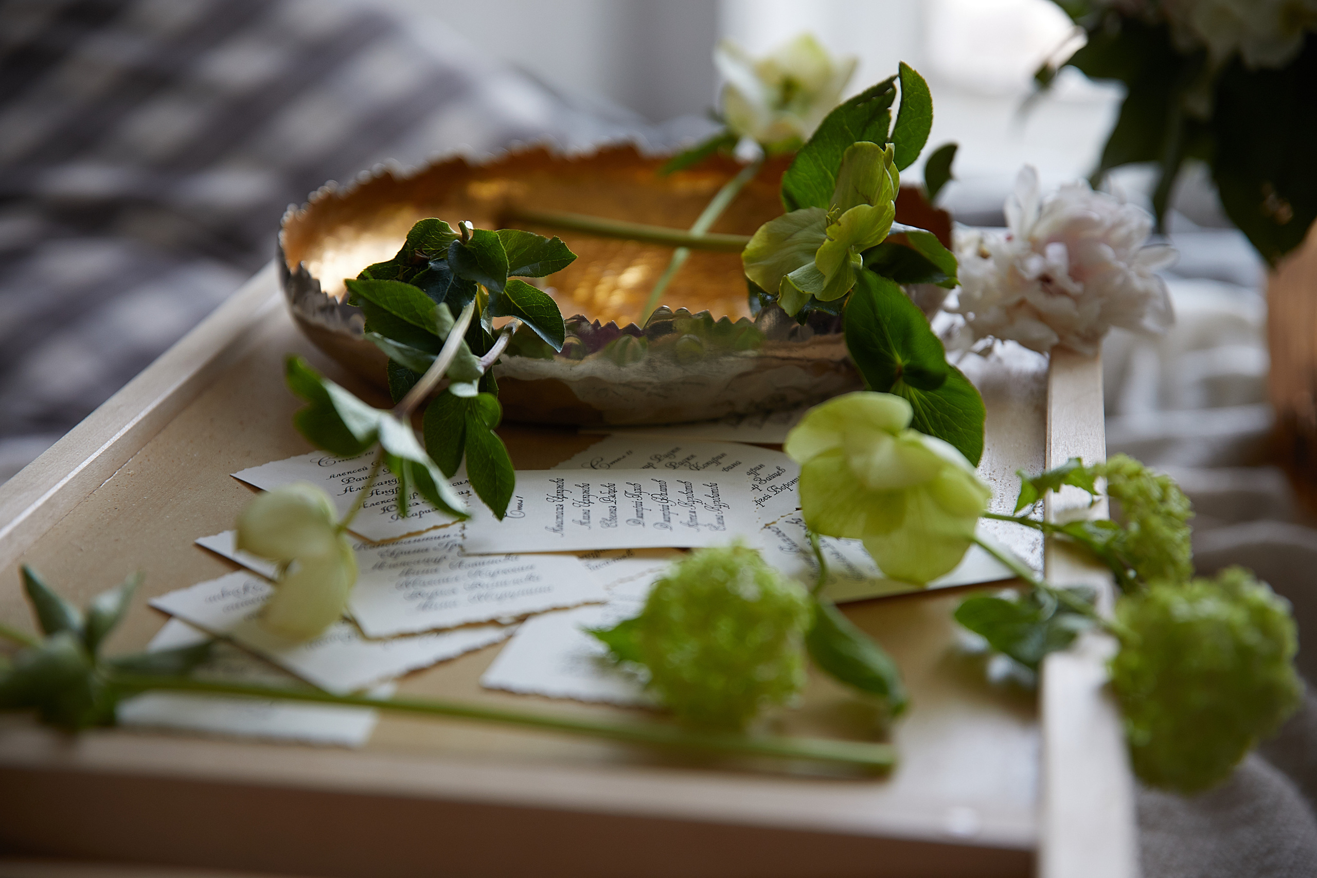 София и Стас. Татьяна Бабаева — Фотограф