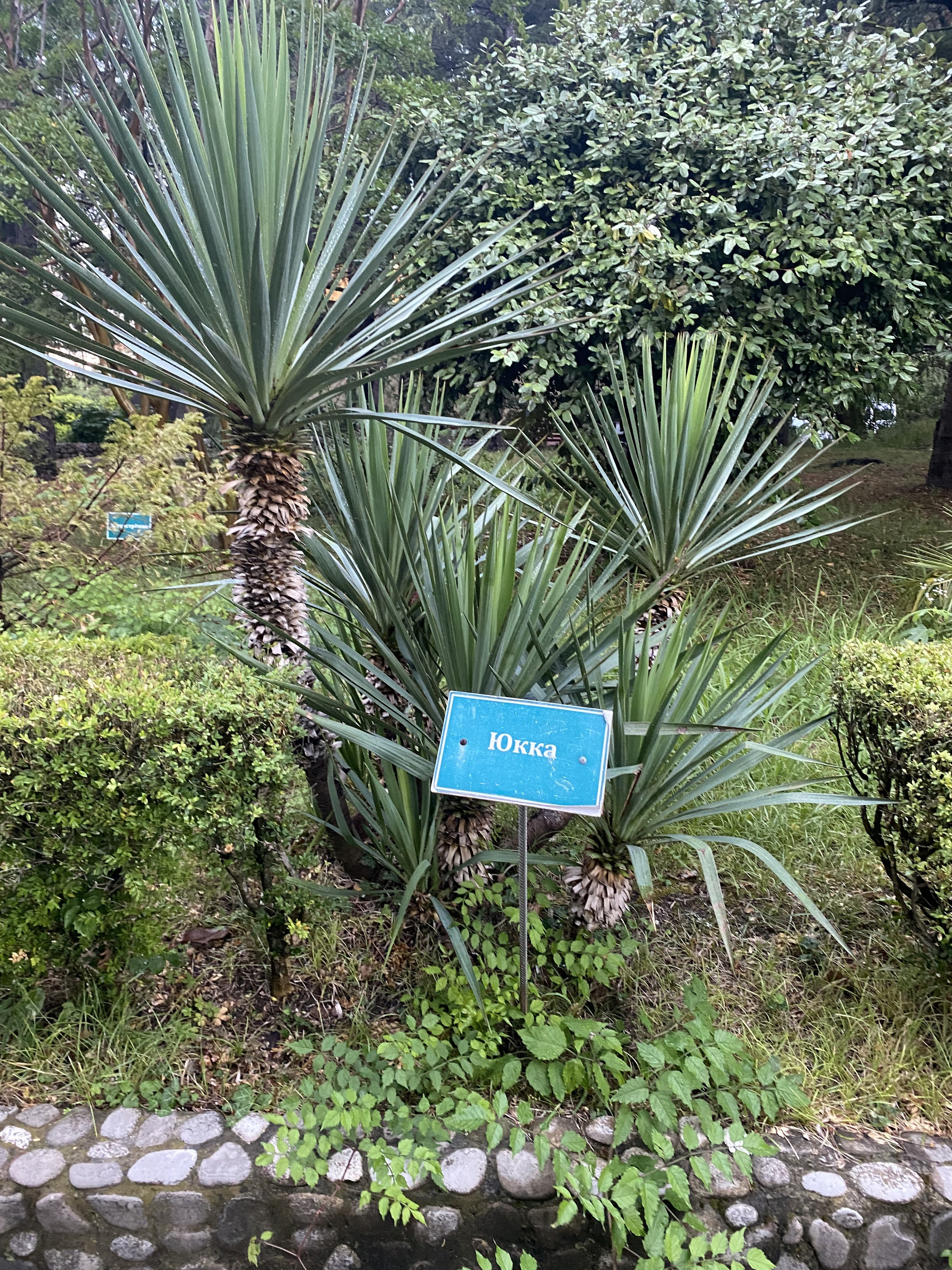 Тренинг лагерь. Галерея ПрофАС