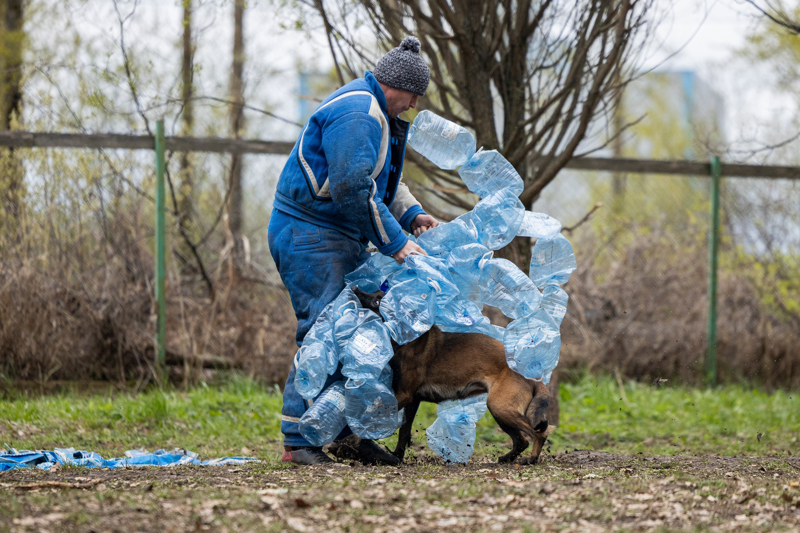 Квалификационные состязания по мондьорингу г. Вологда 11.05.24. Фотограф-анималист Анна Маринич