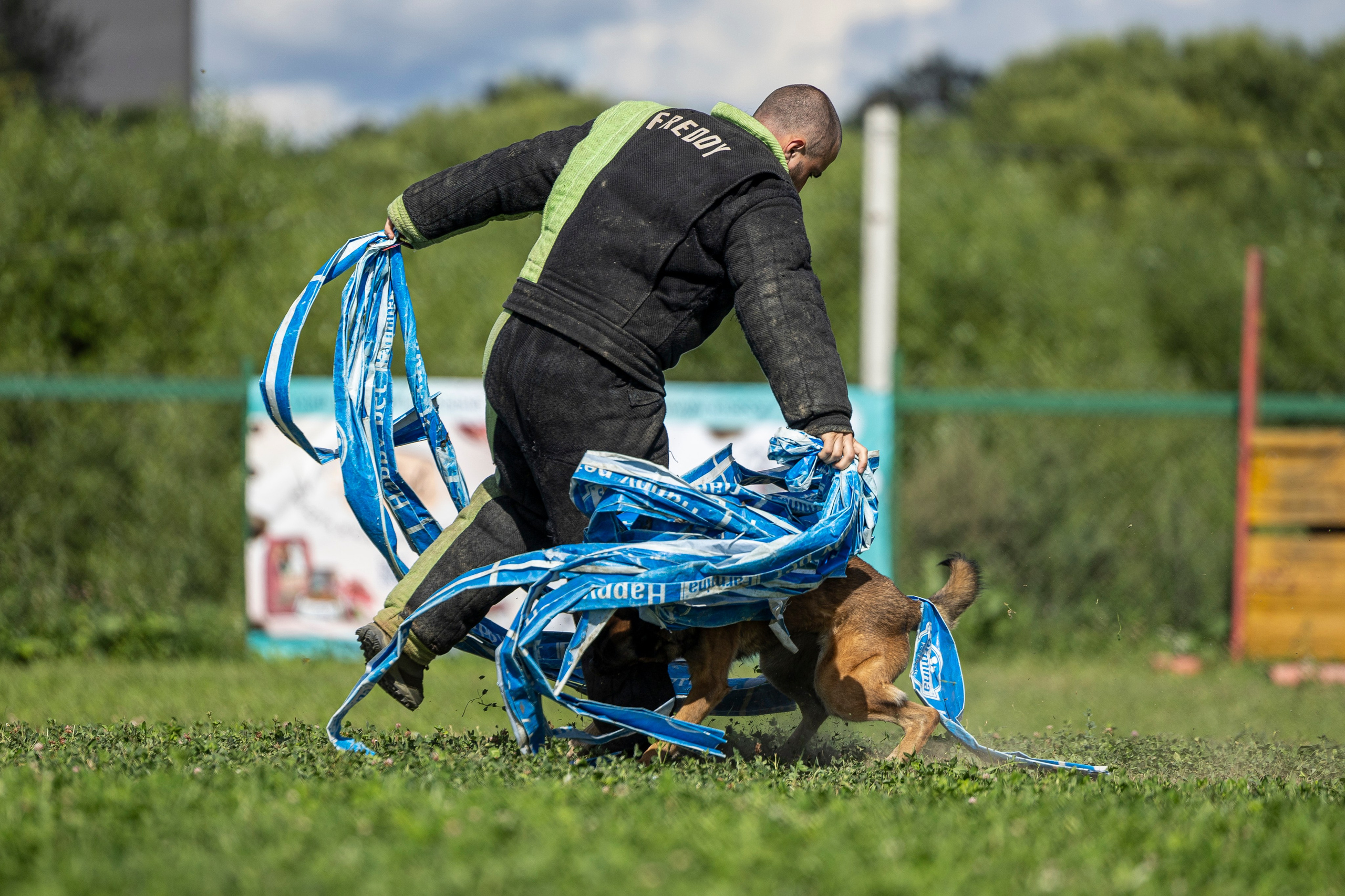 Соревнования по Мондьорингу г. Вологда 10-11.08.2024. Фотограф-анималист Анна Маринич