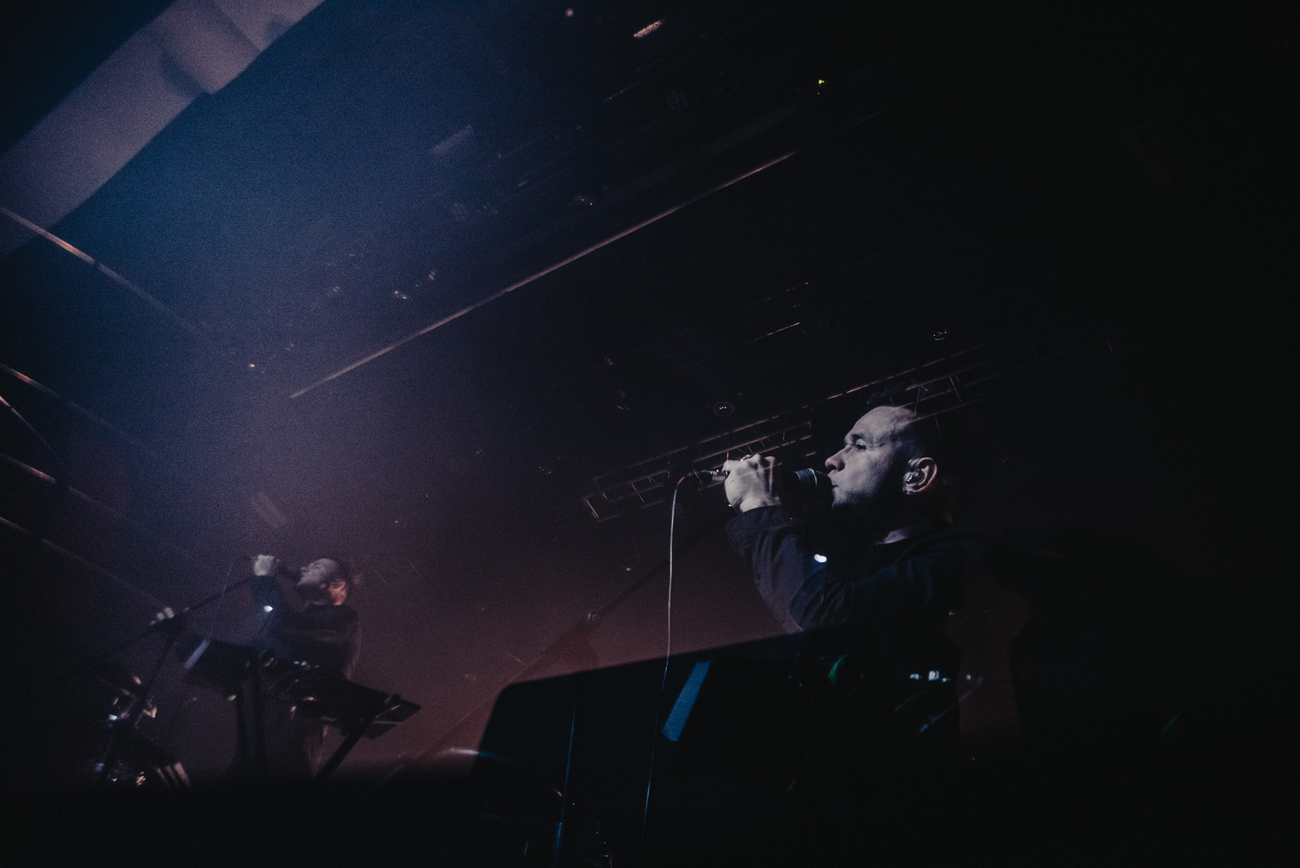 Дельфин | Gaudi. Контент фотограф Илья Урс