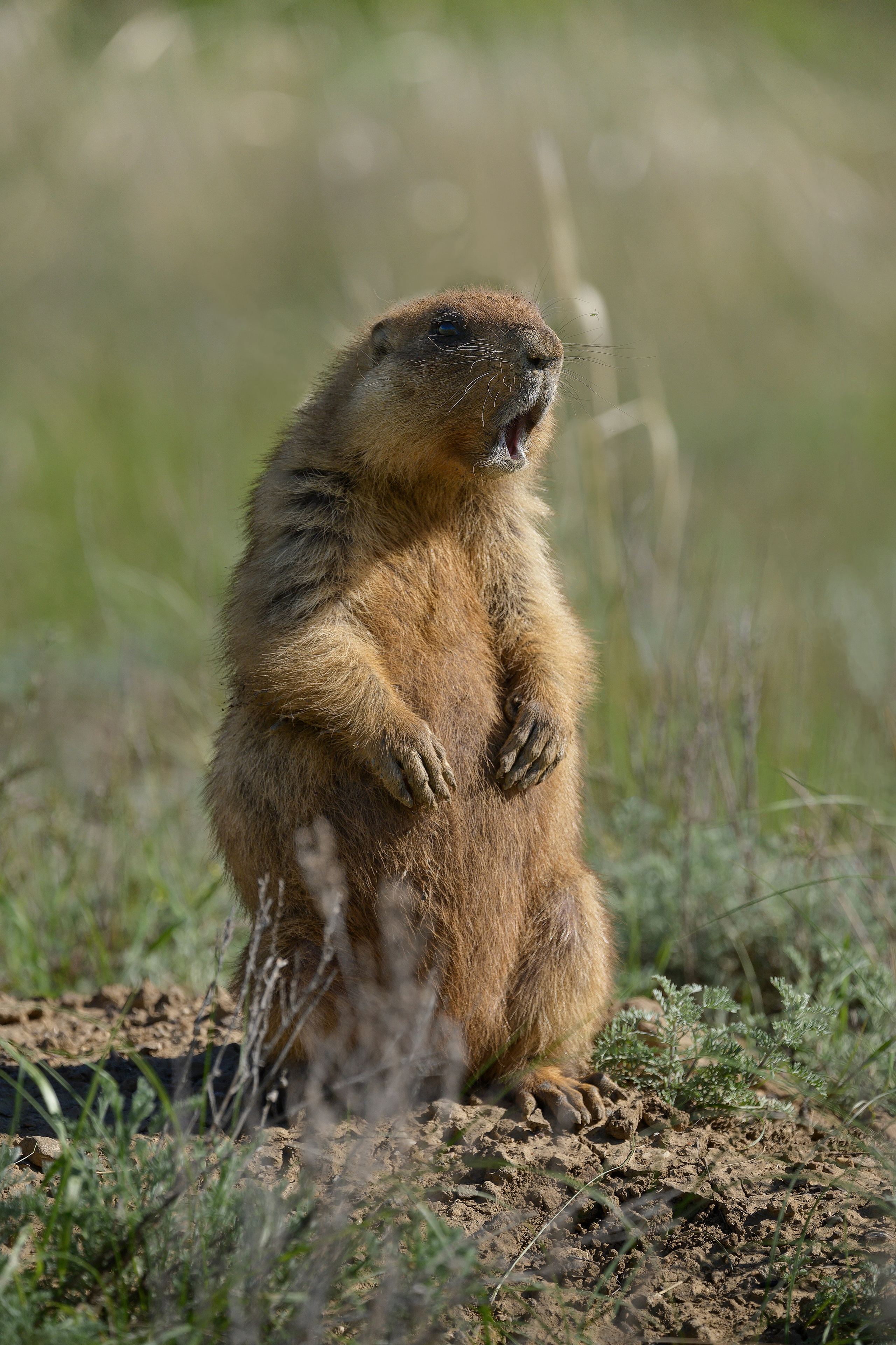 Оренбуржье. Портретный фотограф в Челябинске Катерина Руди