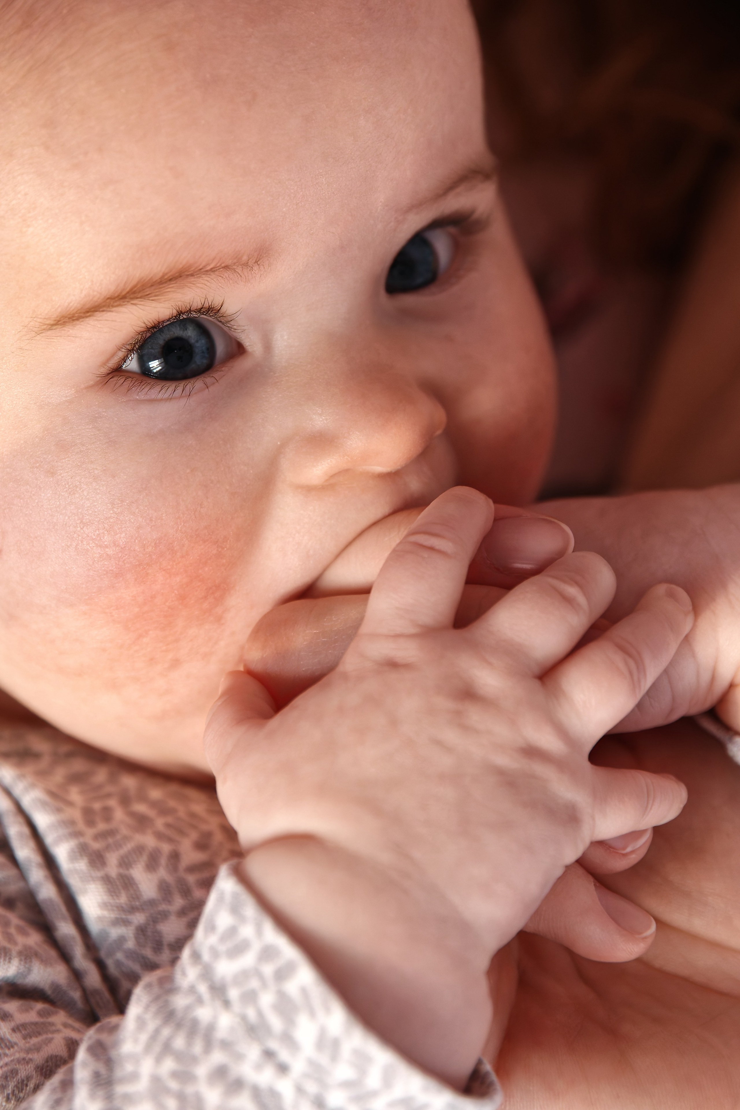 Семейный фотограф — Макс Белогрудов
