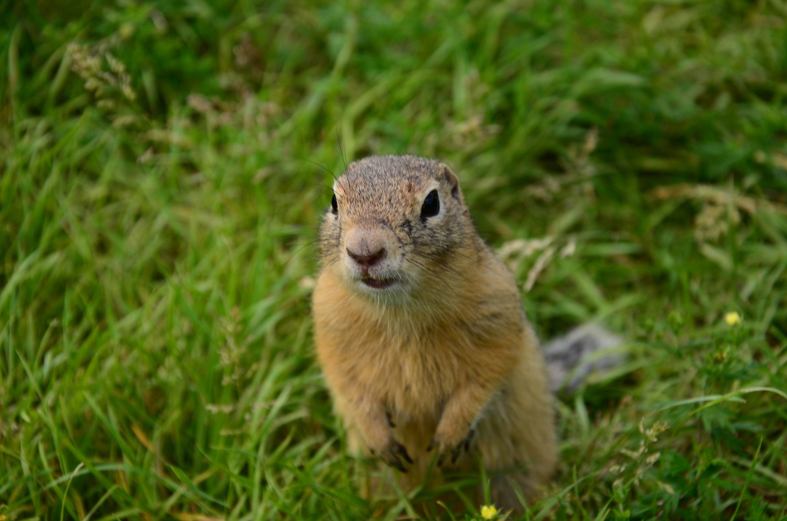 Дары природы. Фотограф viktor viktor