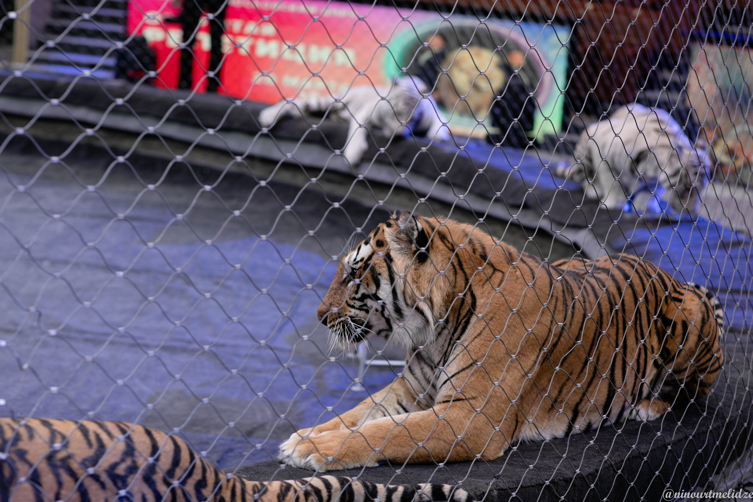 В закулисье у братьев Запашных. Art photographer Nino