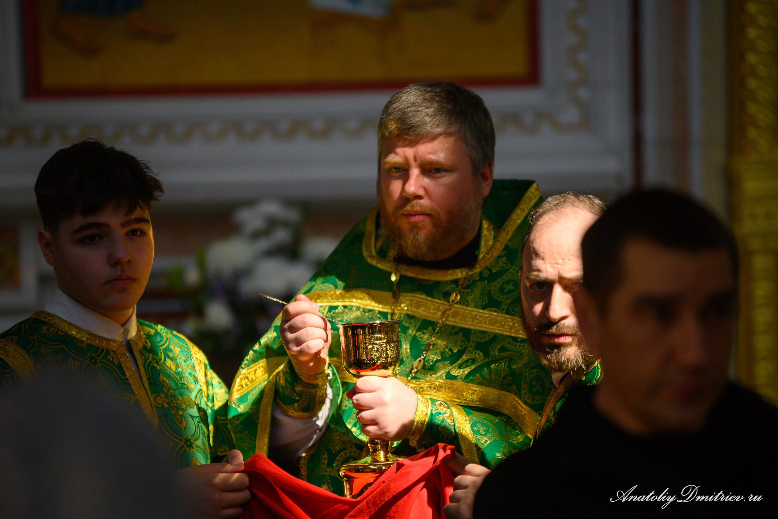 Вербное 2025. Фотограф  Крещения и Венчания Калининград