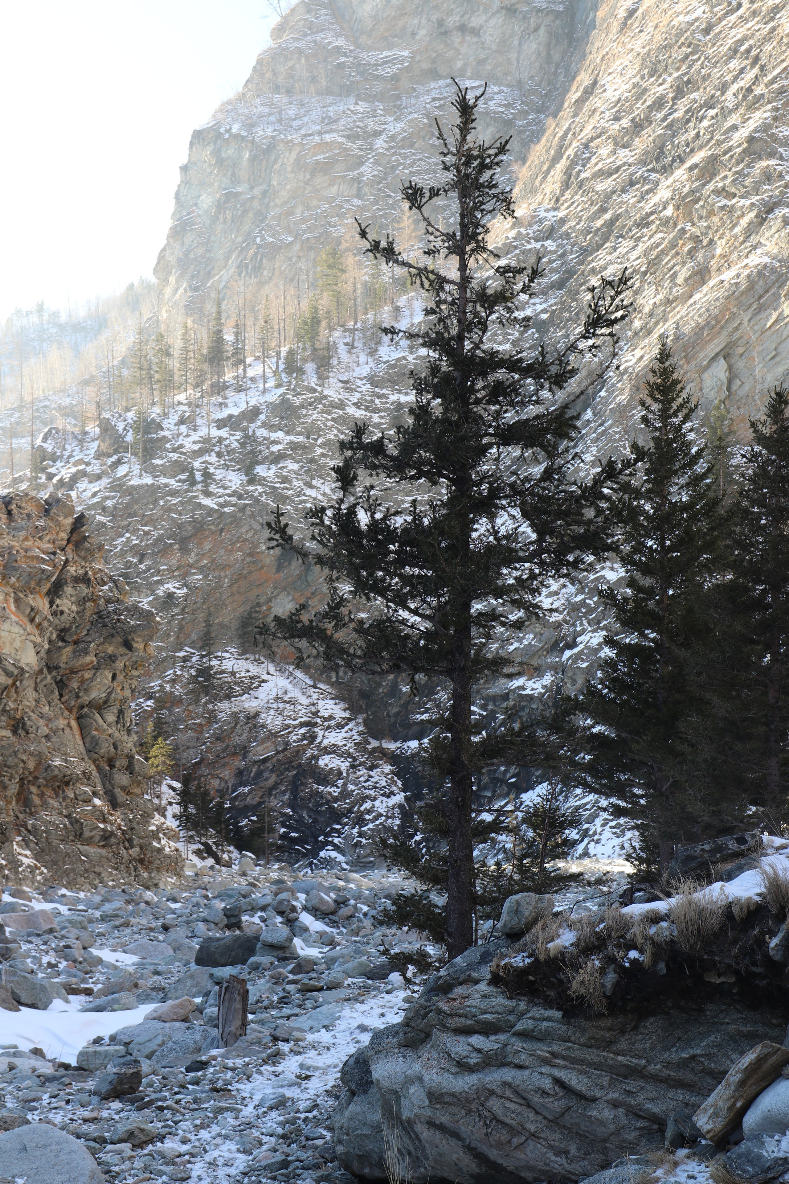 Аршан. Январь 2022. Путешественник-фотограф из Санкт-Петербурга Татьяна Свистулина