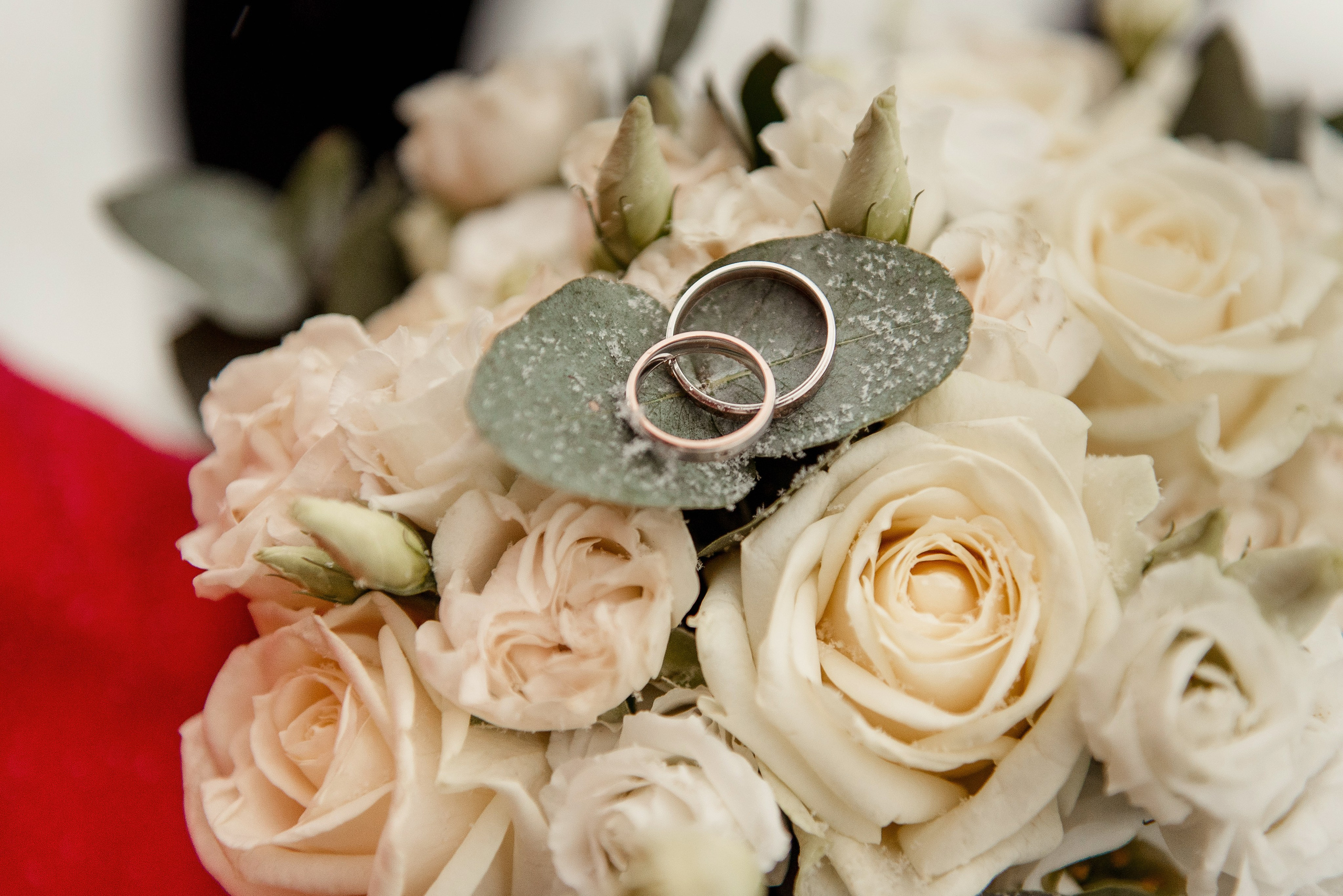 АЛЁНА и АНДРЕЙ. Свадебный и семейный фотограф РИТА БОЧКАРЁВА