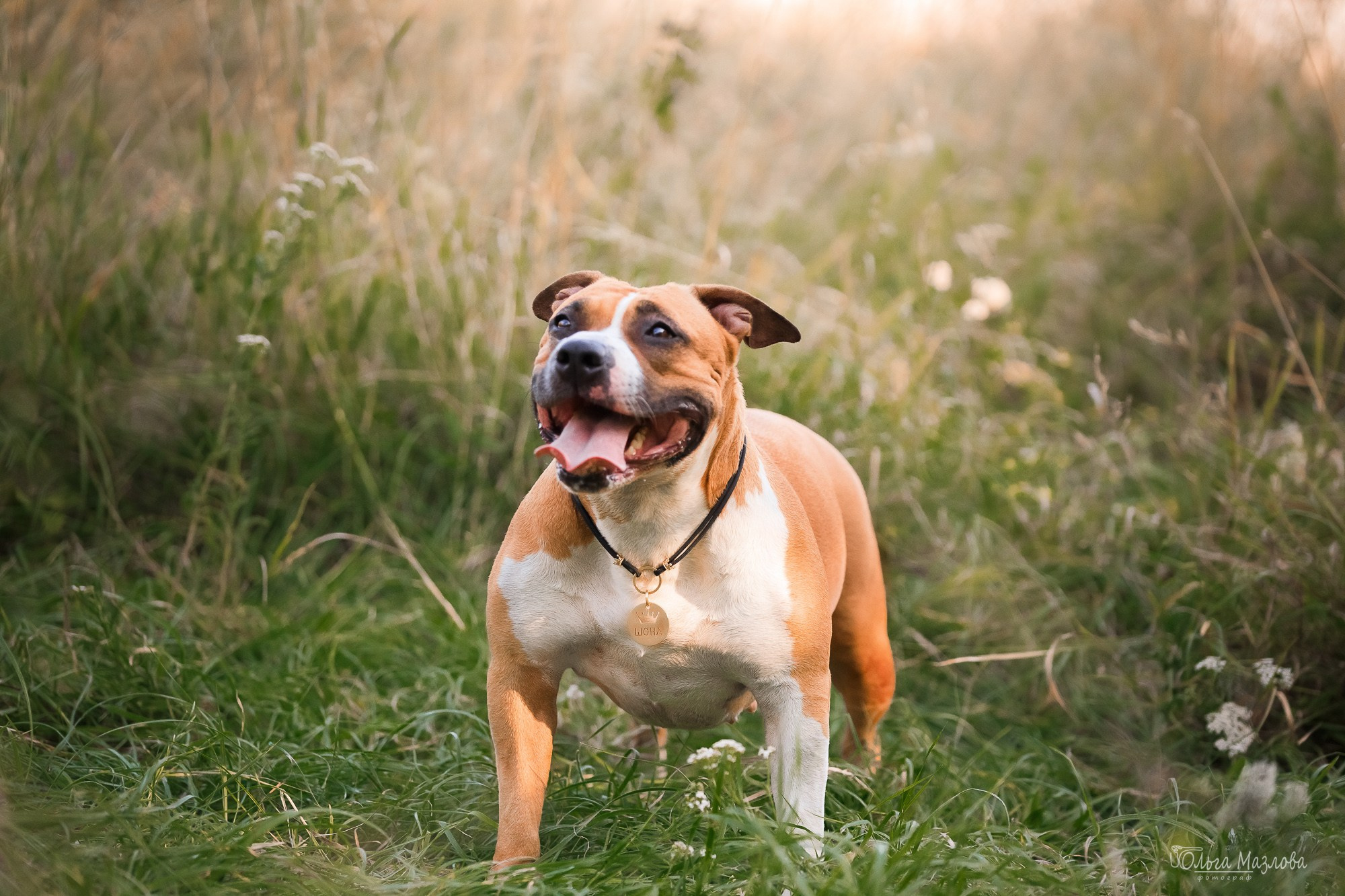 Шона и ее семья. Фотограф в Саратове Ольга Мазлова