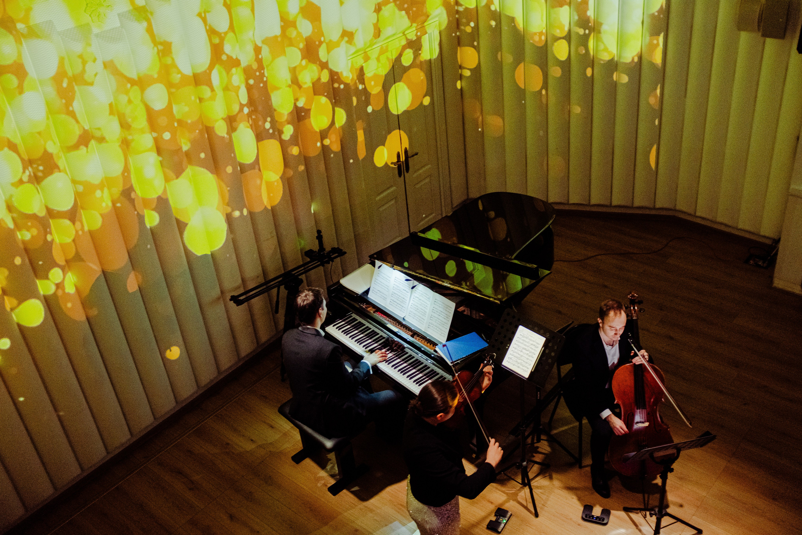 Опус Люмина