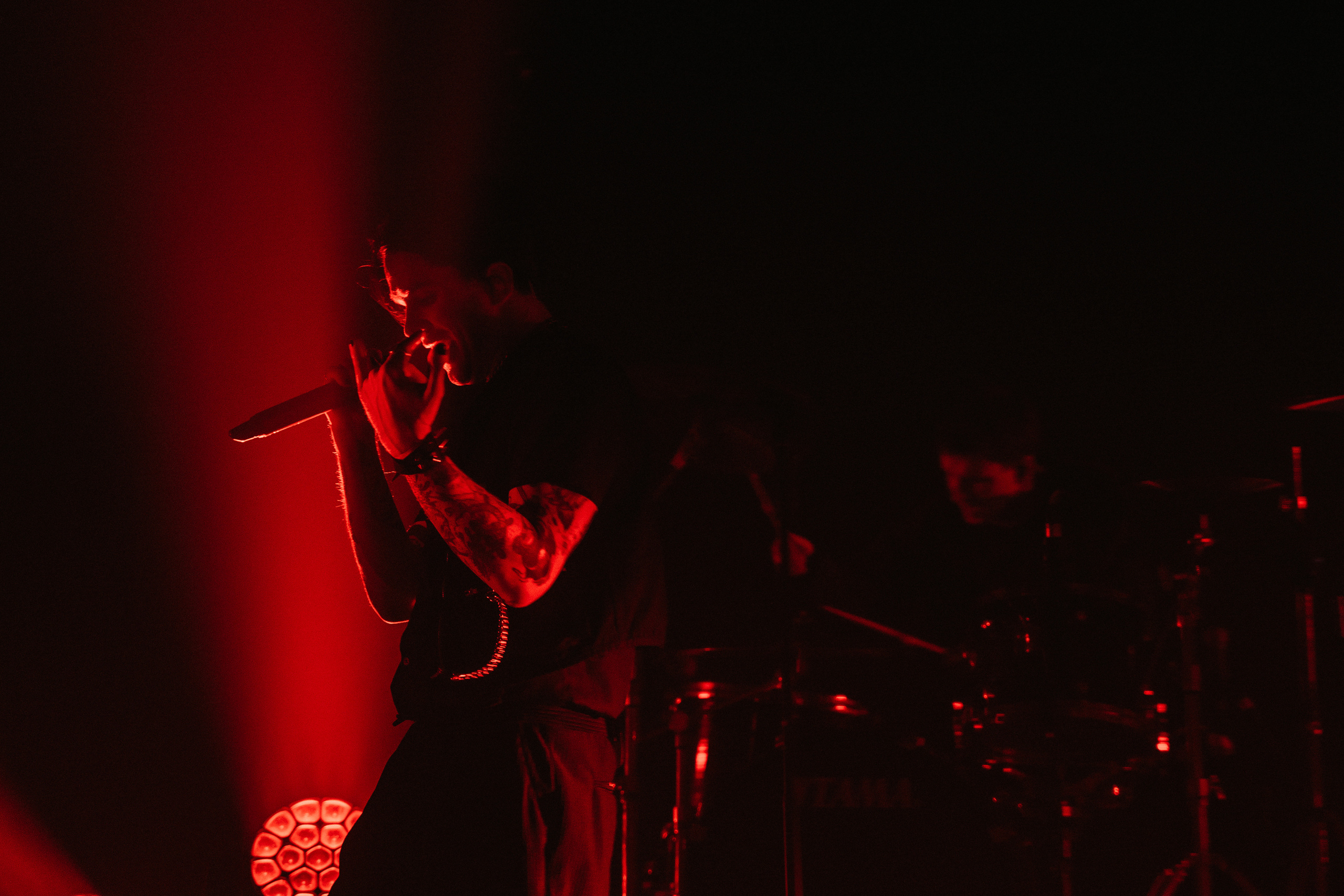 WILDWAYS. Игорь Богатов — фотограф