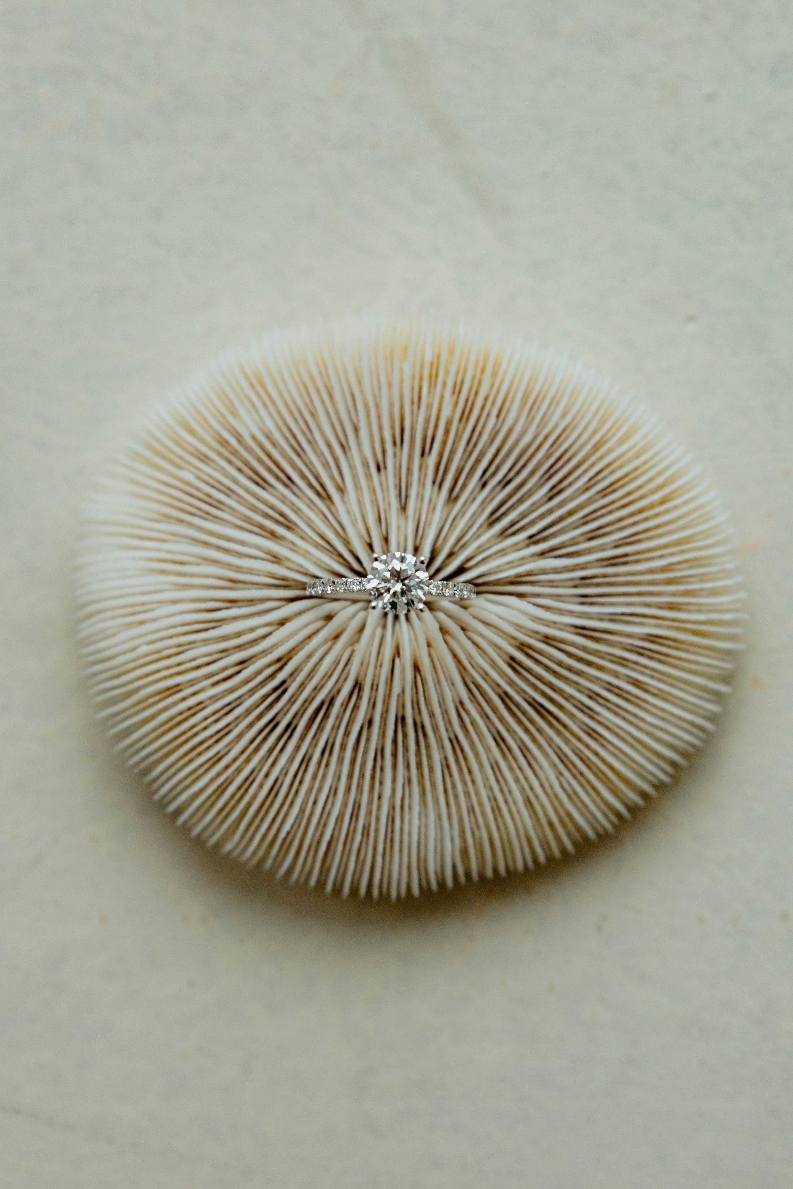 Евгений и Ангелина. Фотограф Юсова Мария