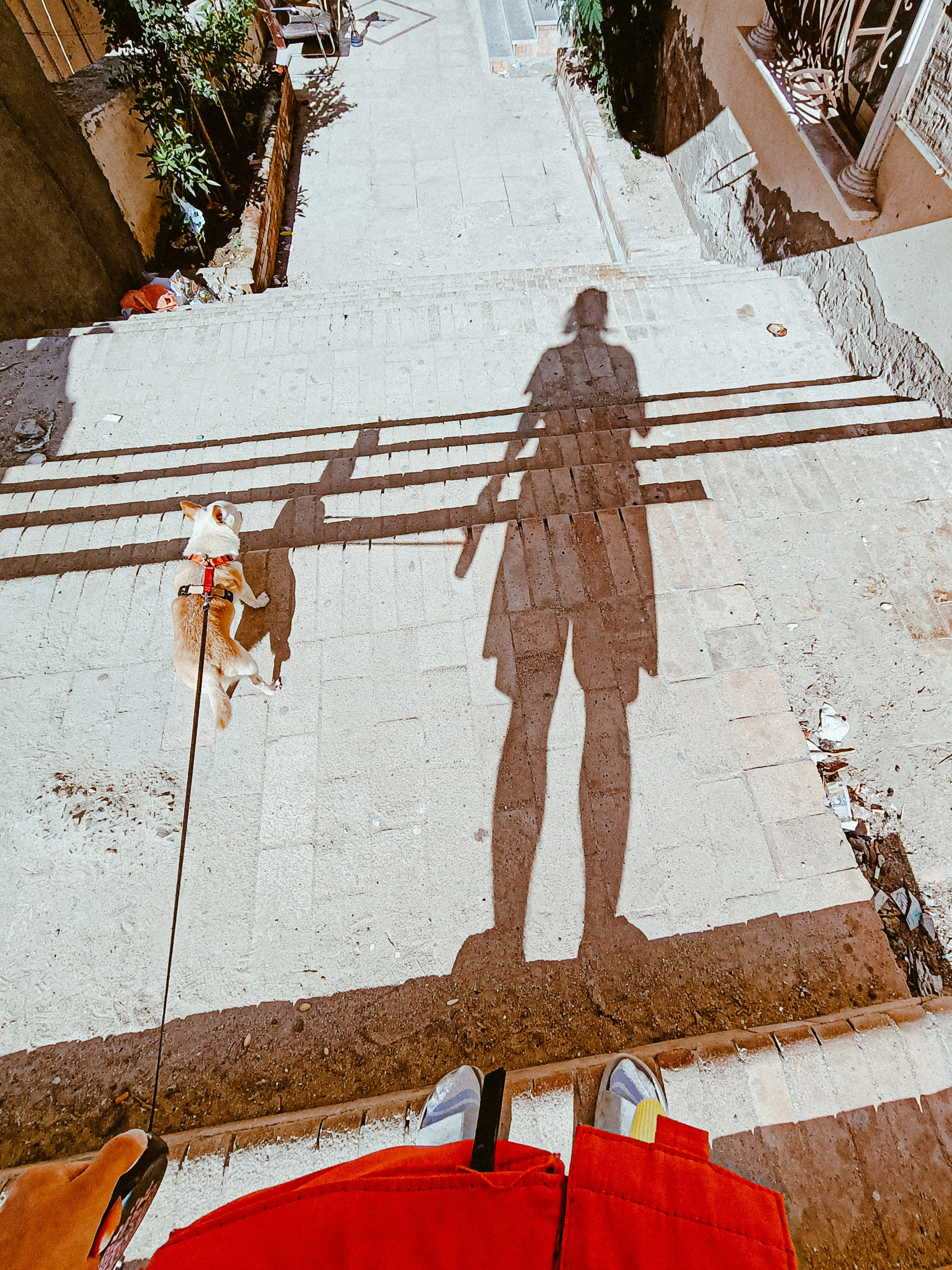 Мобильная. Jorgis — фотограф в Хургаде / обучение фотографии