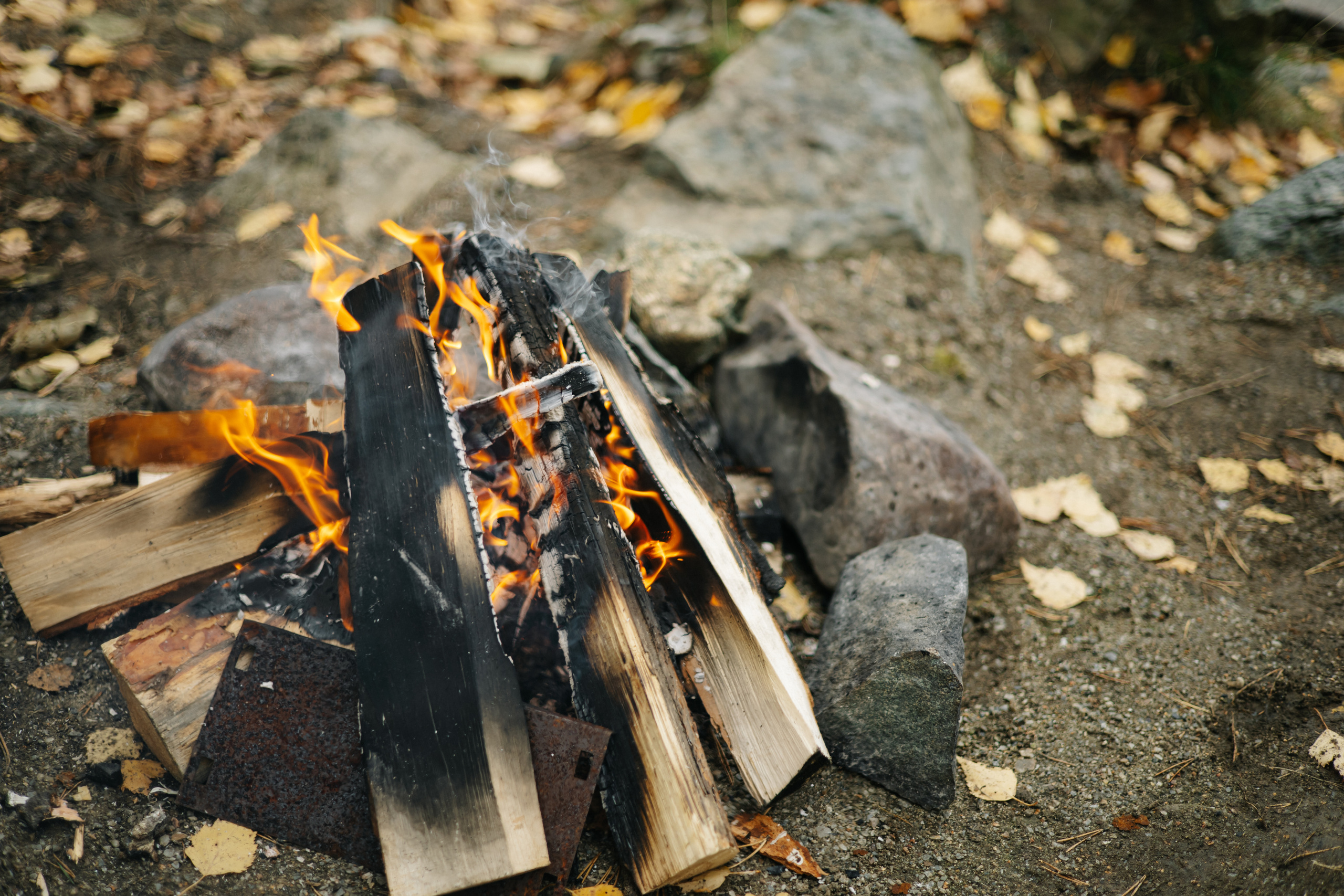 Максим и Анна. Свадебный и семейный фотограф Екатеринбург