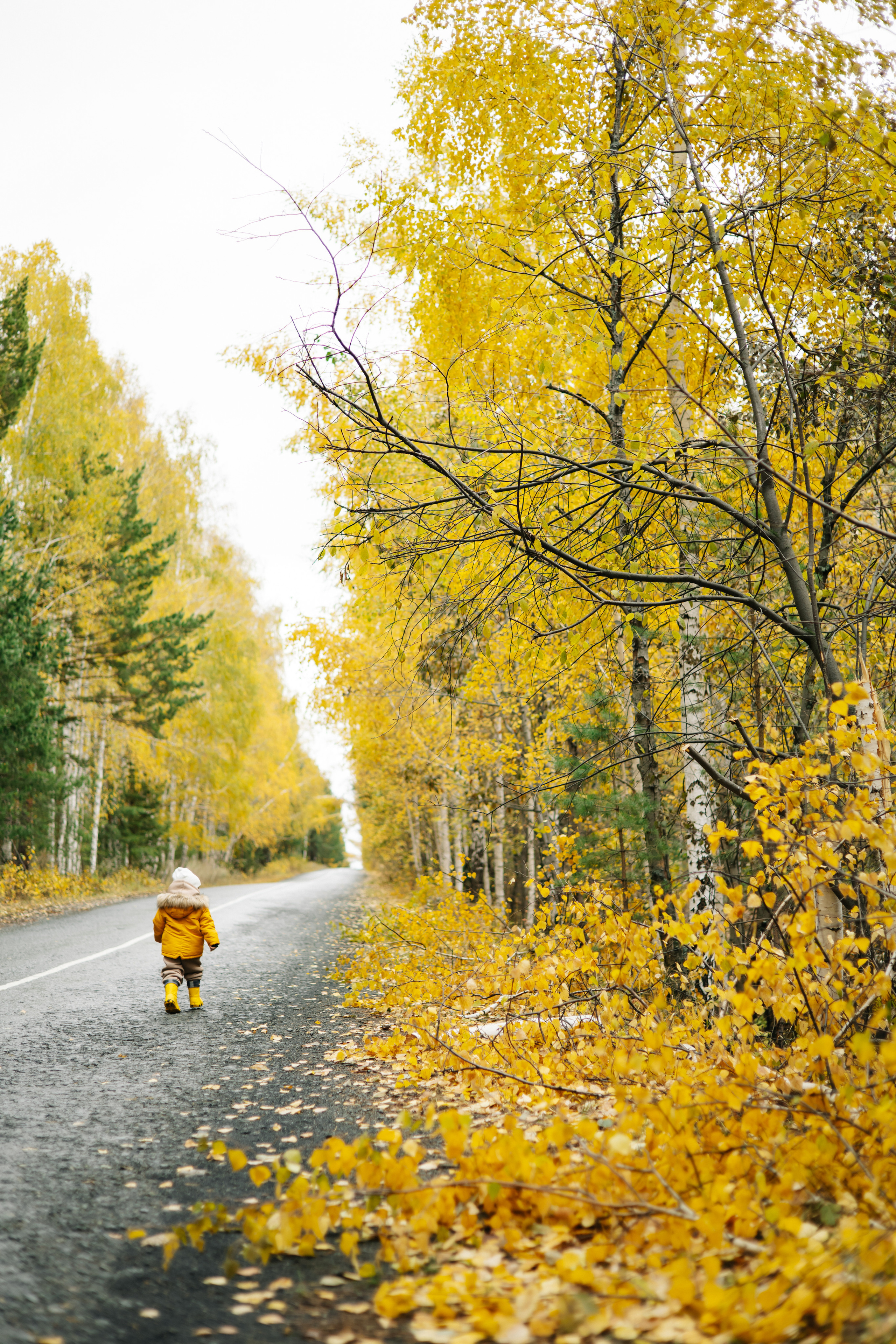 Кирилл и Алина. Свадебный и семейный фотограф Екатеринбург