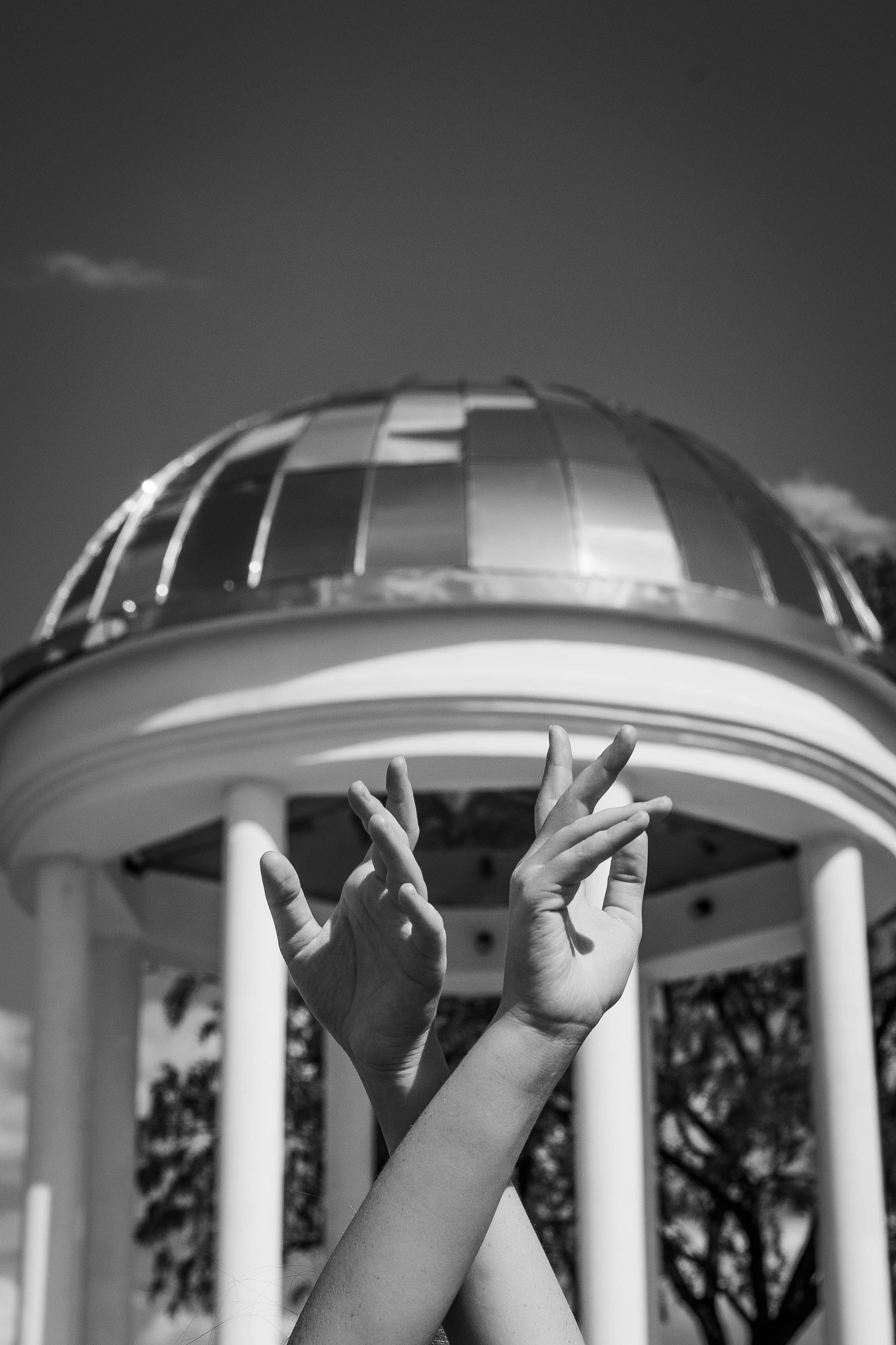 БРЯНКОВСКАЯ РОТОНДА. Фотограф-АниМалист Анна Абрамова