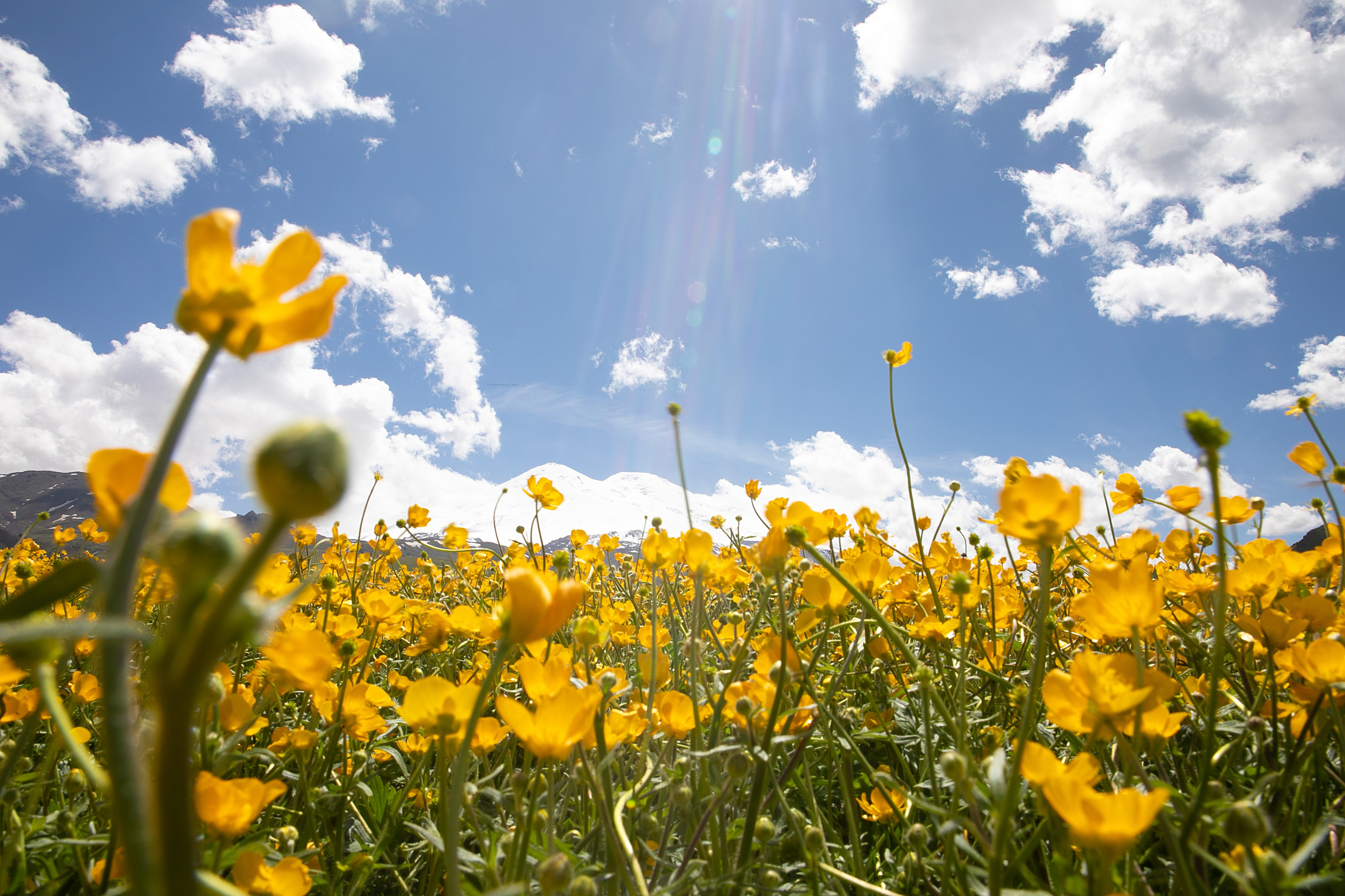 Пейзаж. Фотограф Наталья Туева FineArt съёмка