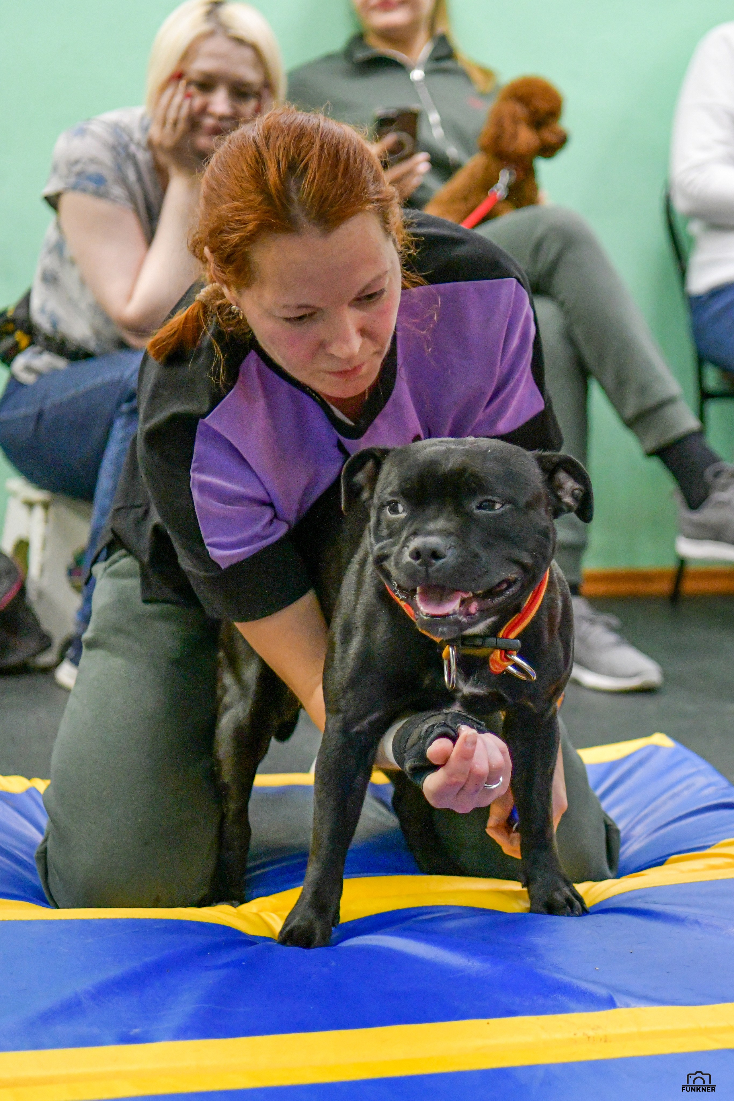Кинологический клуб «Бодрый хвост». Свой взгляд через объектив