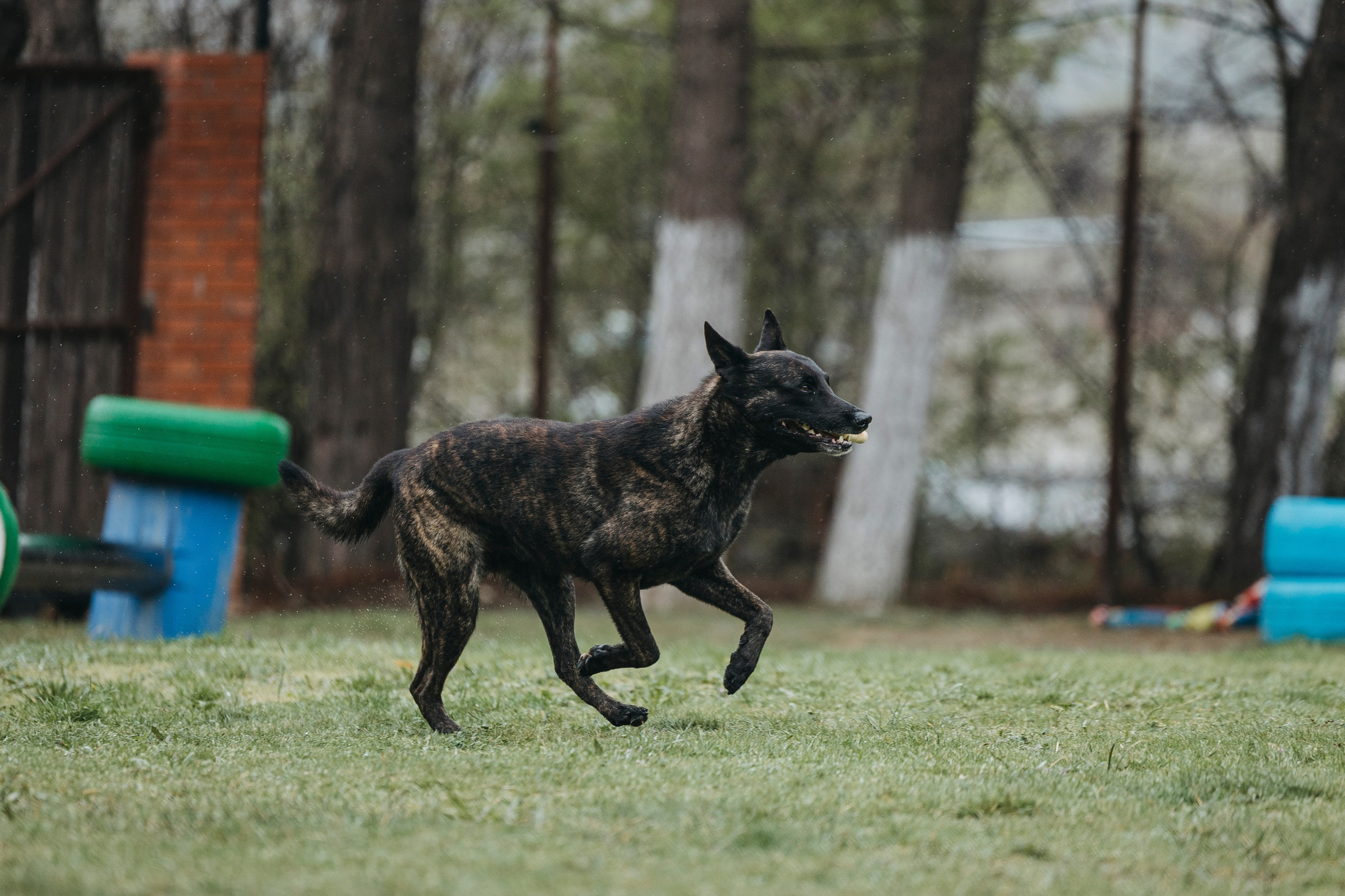 Геленджик Мондьоринг. Фотограф-анималист Анна Маринич