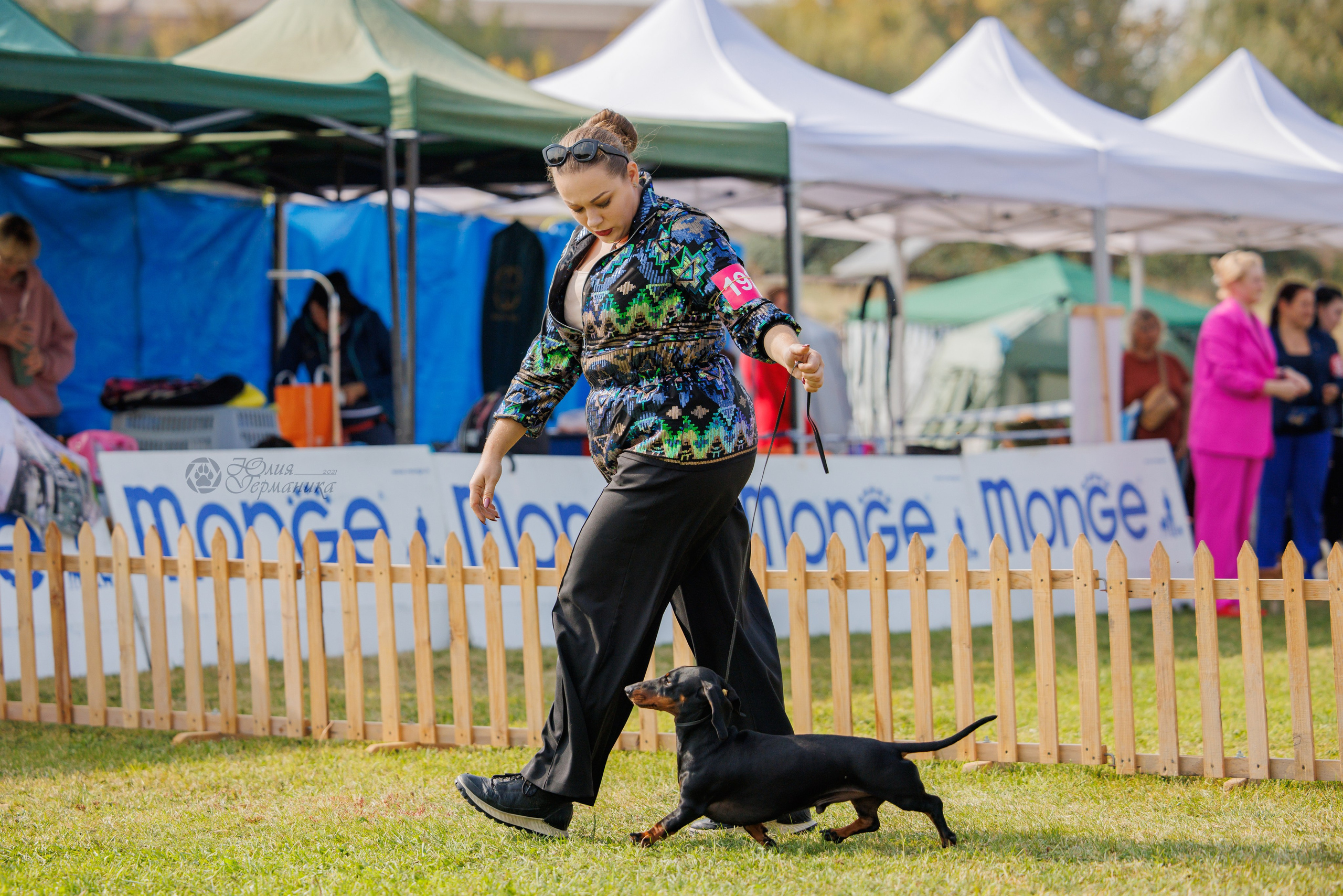 Армения,Ереван 3хCACIB 15-17.10.2024. Фотограф-анималист Юлия Германика