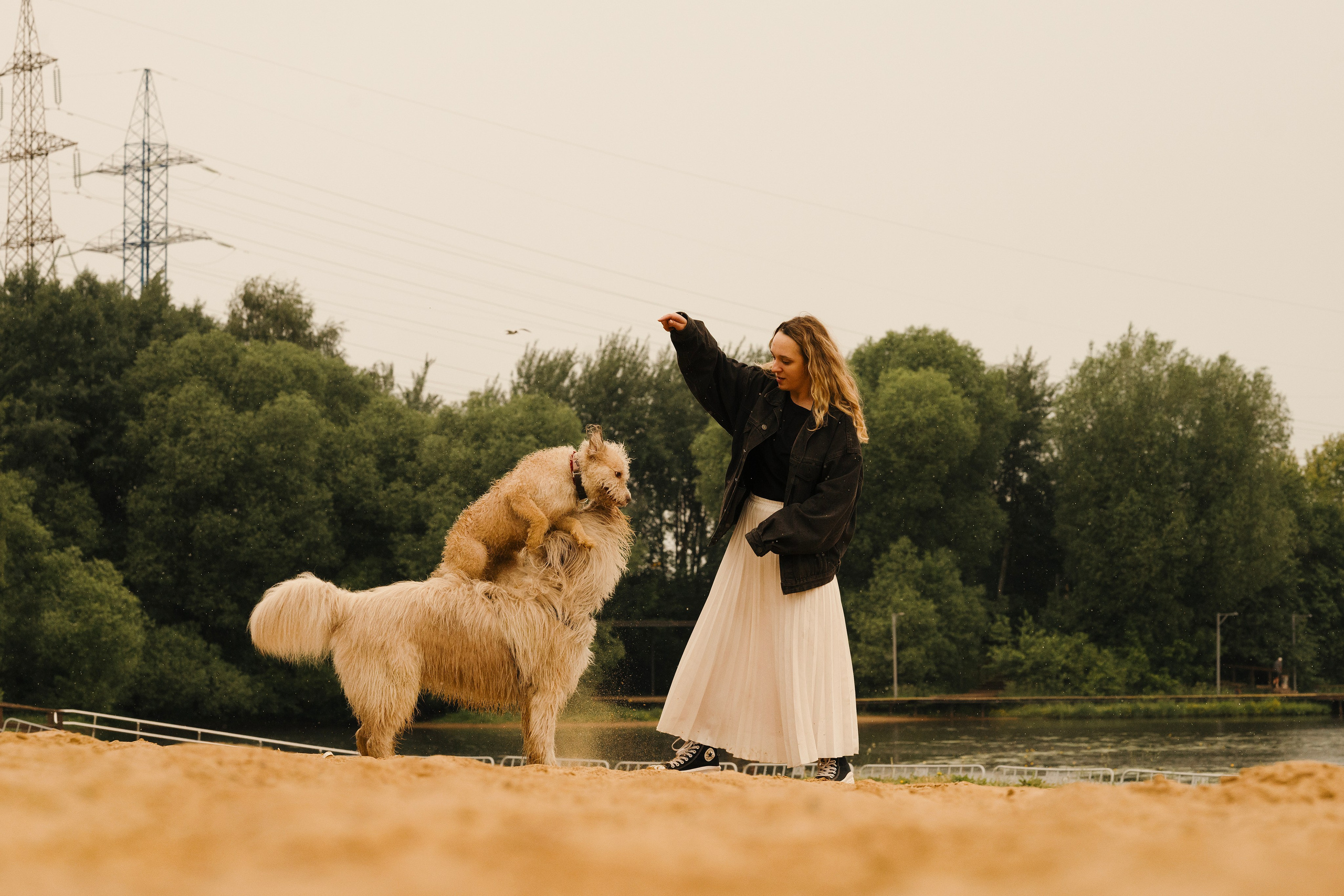 Акиро и Йоши. Фотограф- анималист Александра Матвеева