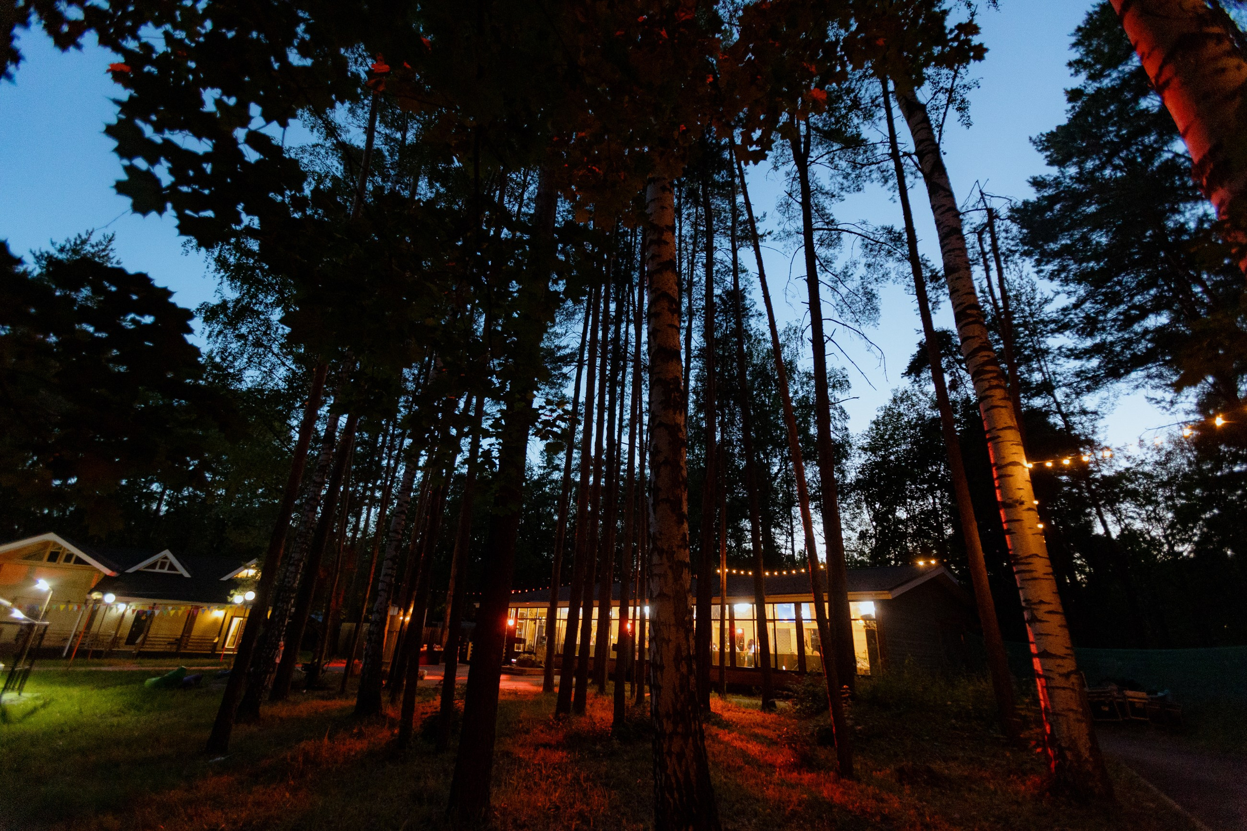 ART DENT корпоратив русский стиль. LEVORIGINAL