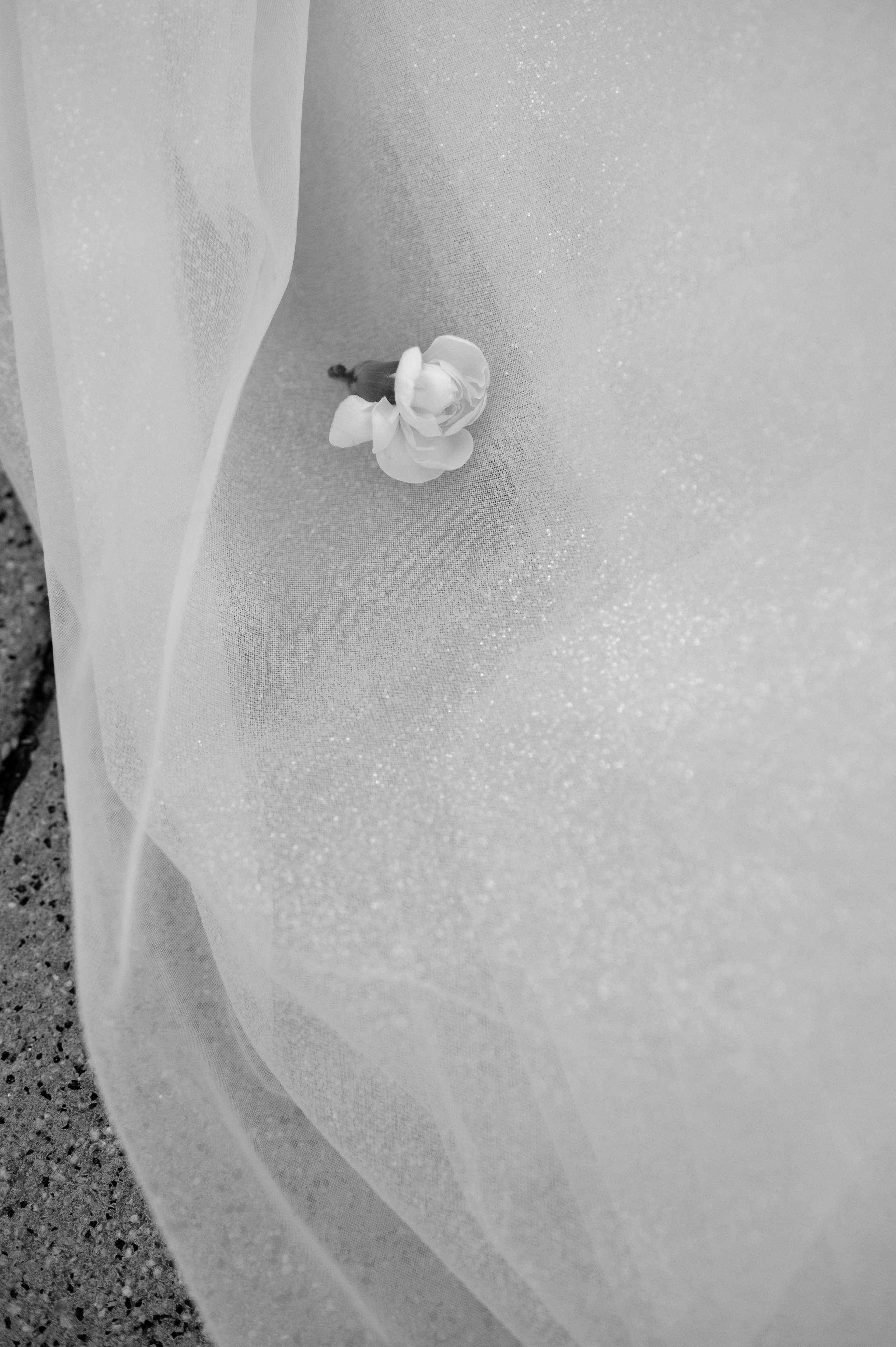 Дмитрий и Елизавета. Свадебный и семейный фотограф в Серпухове Александра Дерюшева