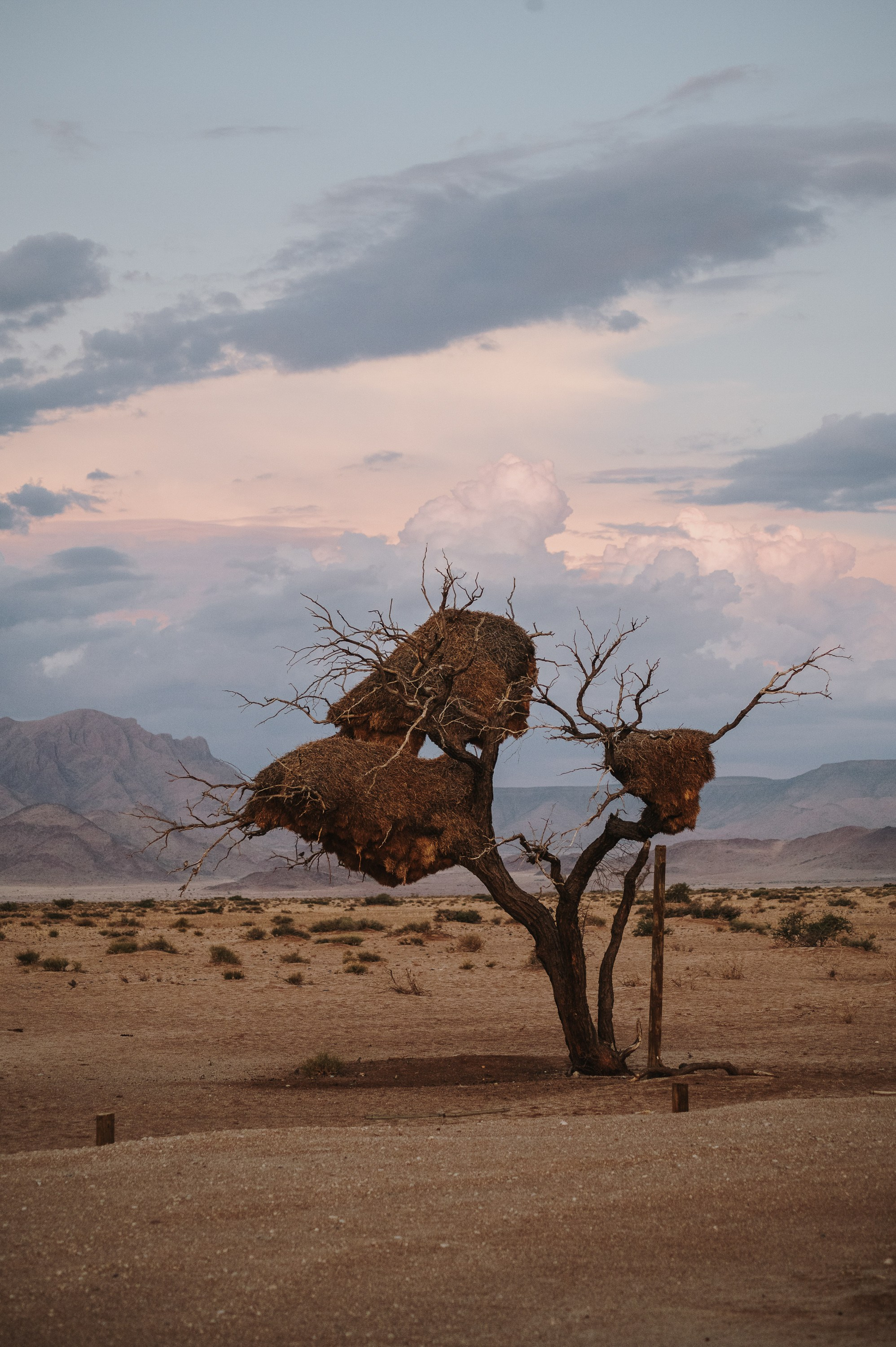 НАМИБИЯ. Роадтрип