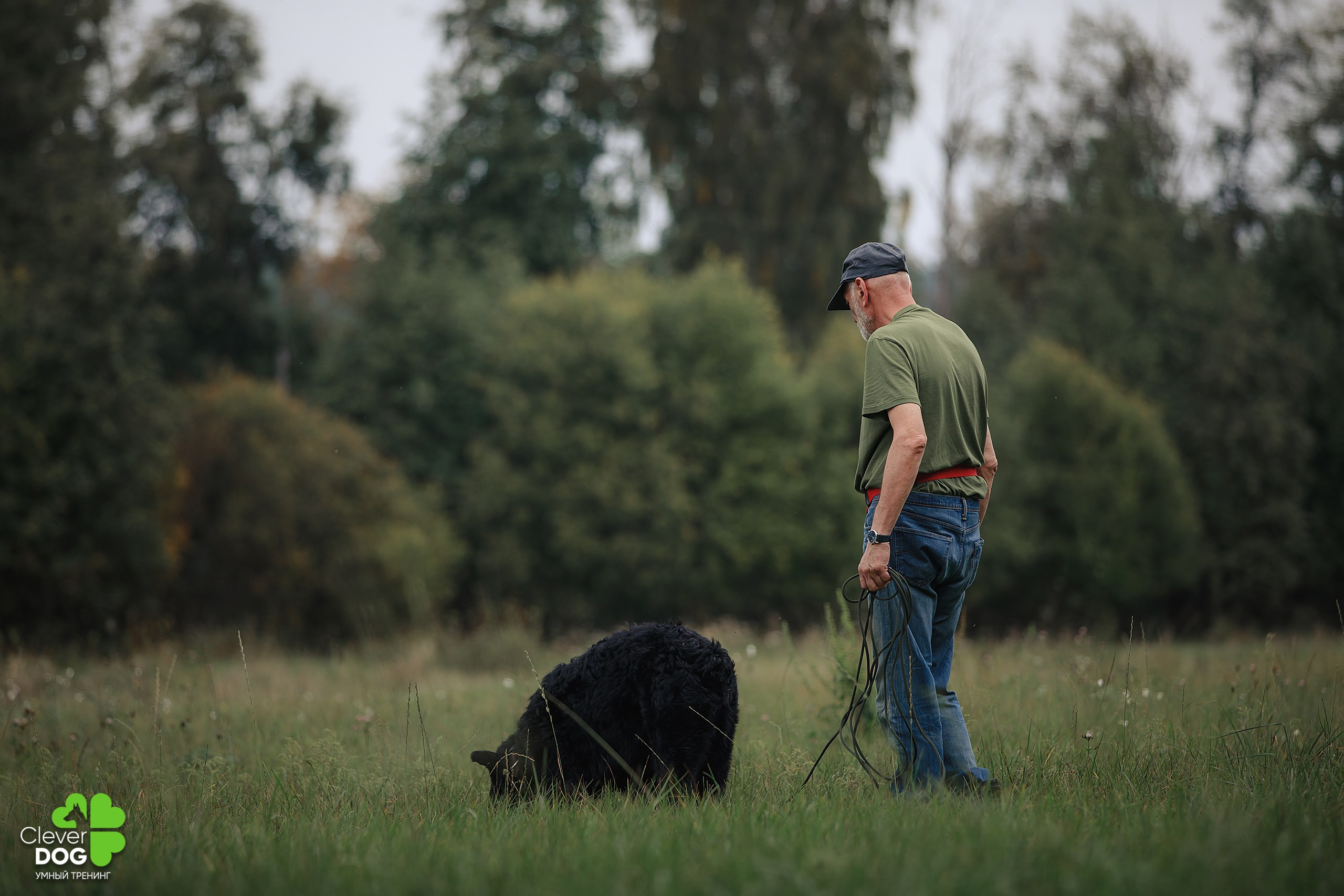 Кинологический лагерь CleverDog, 2024. Фотограф-анималист Mary Mart — Москва, Питер